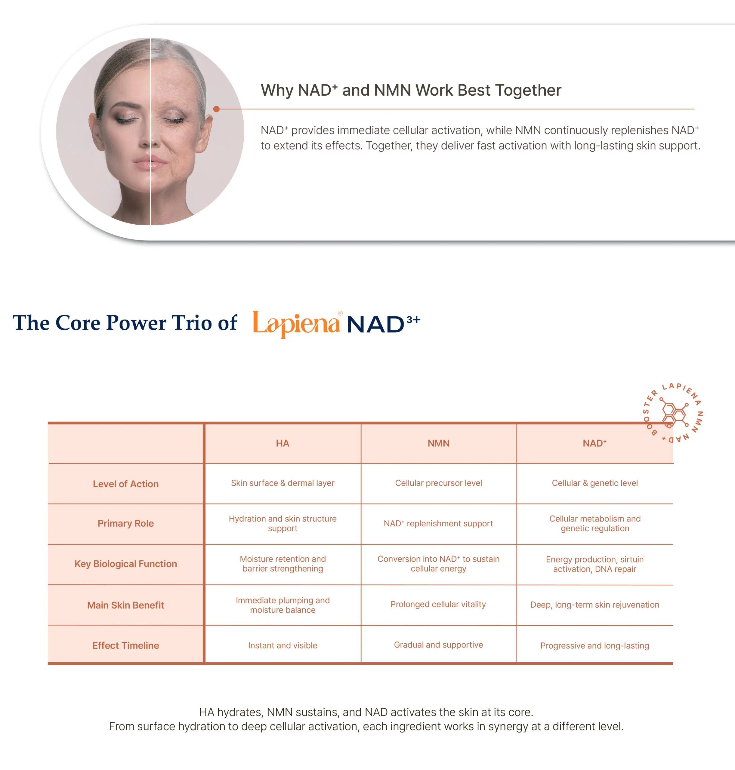 Lapiena NAD3+ · product information