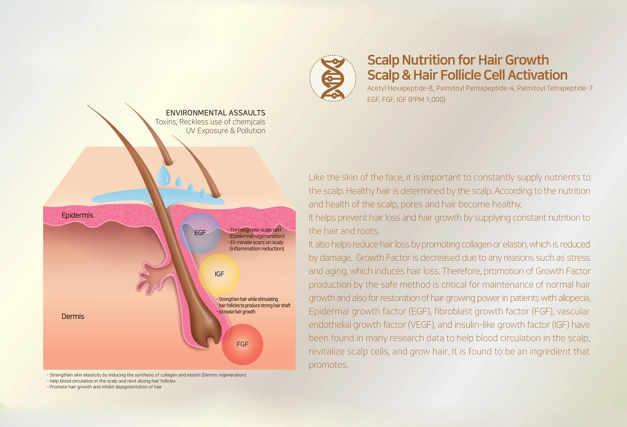 Sappire Hair Rich · product information