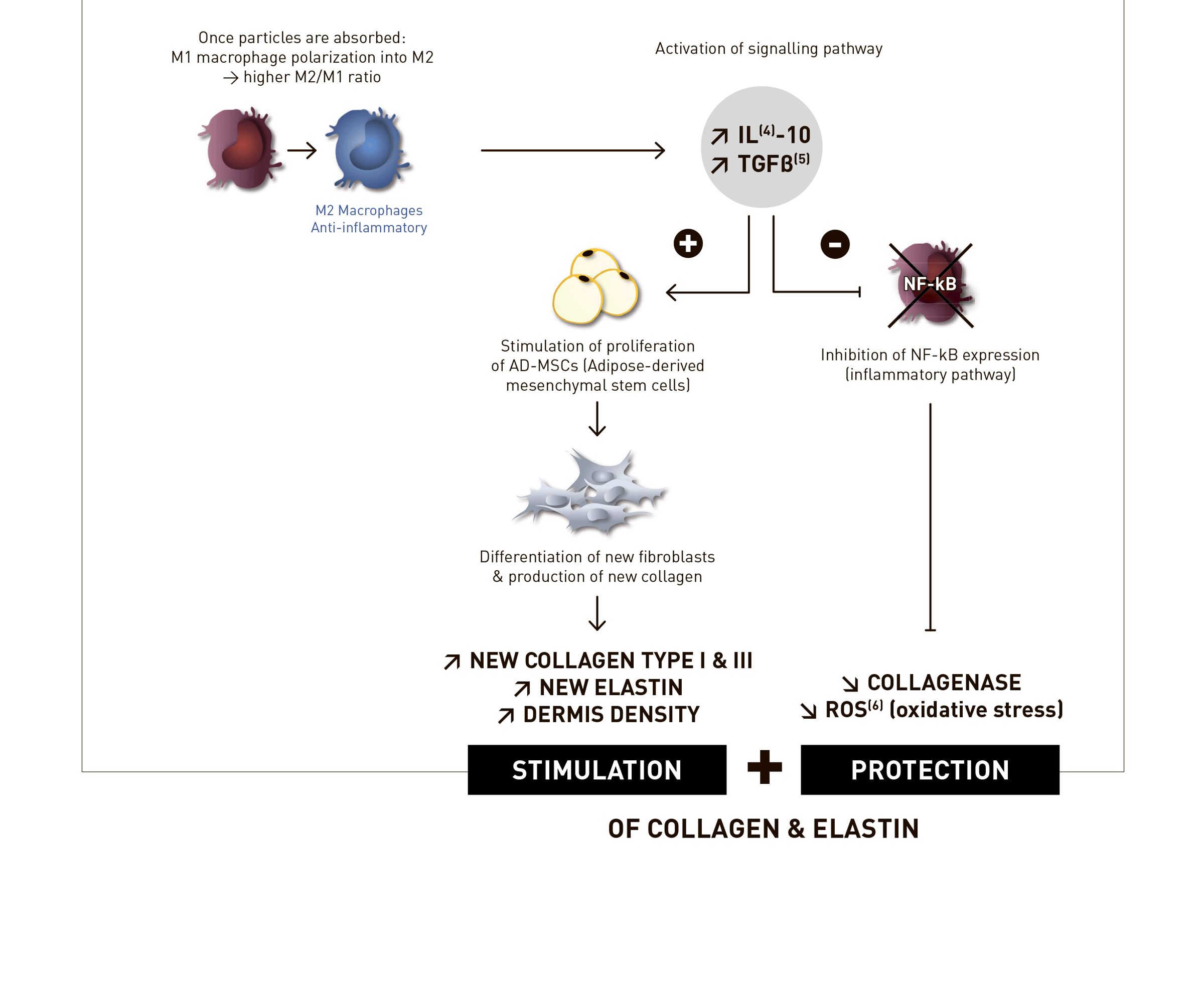 Juvelook Volume (200mg) · product information