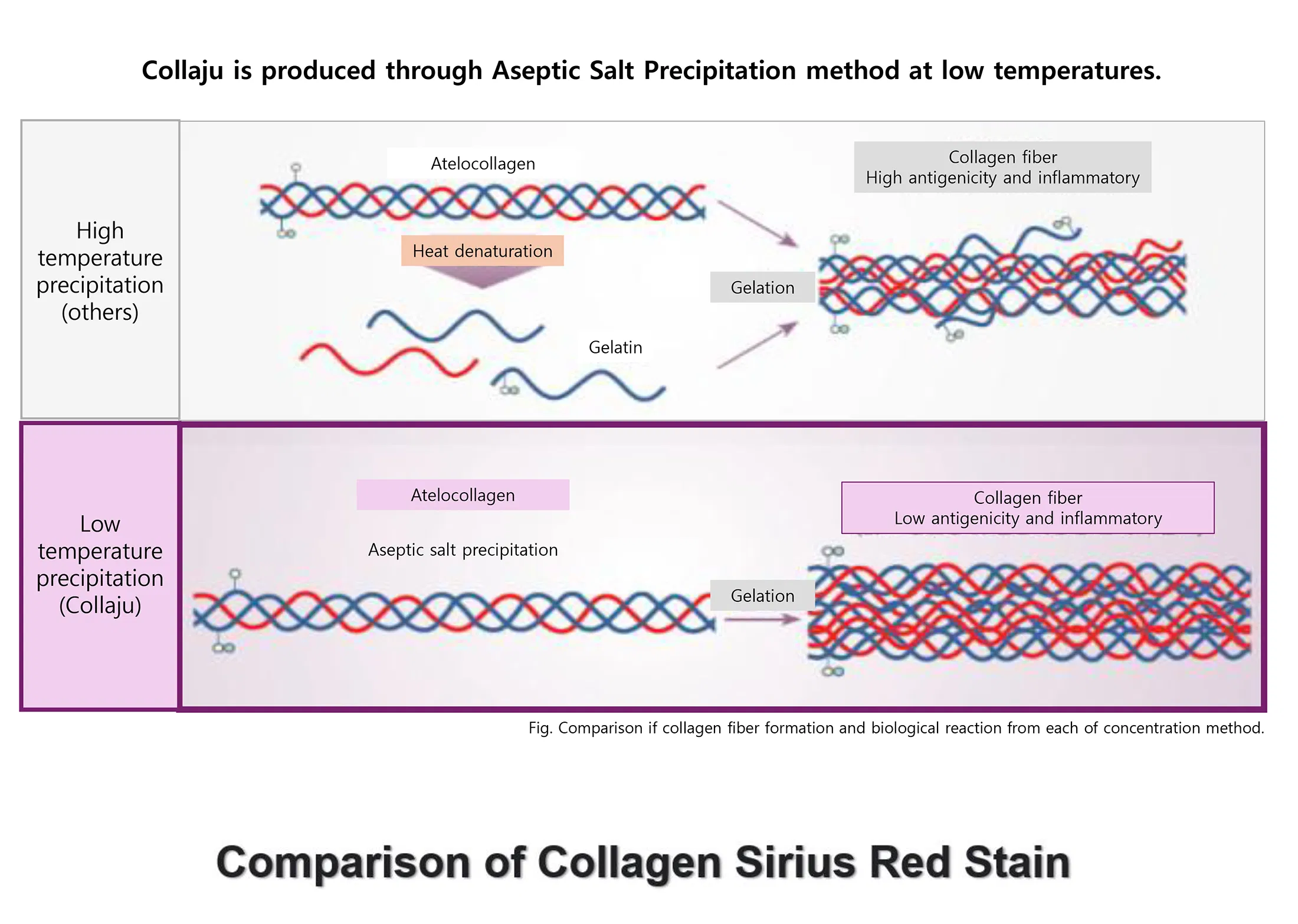 Collaju · product information