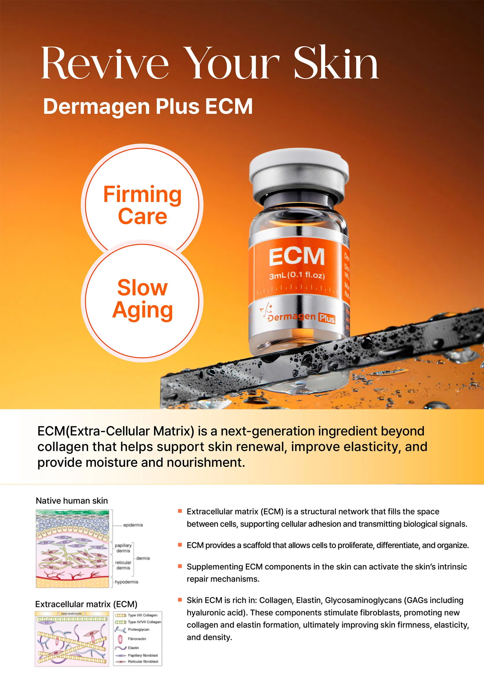 Dermagen Plus ECM · product information