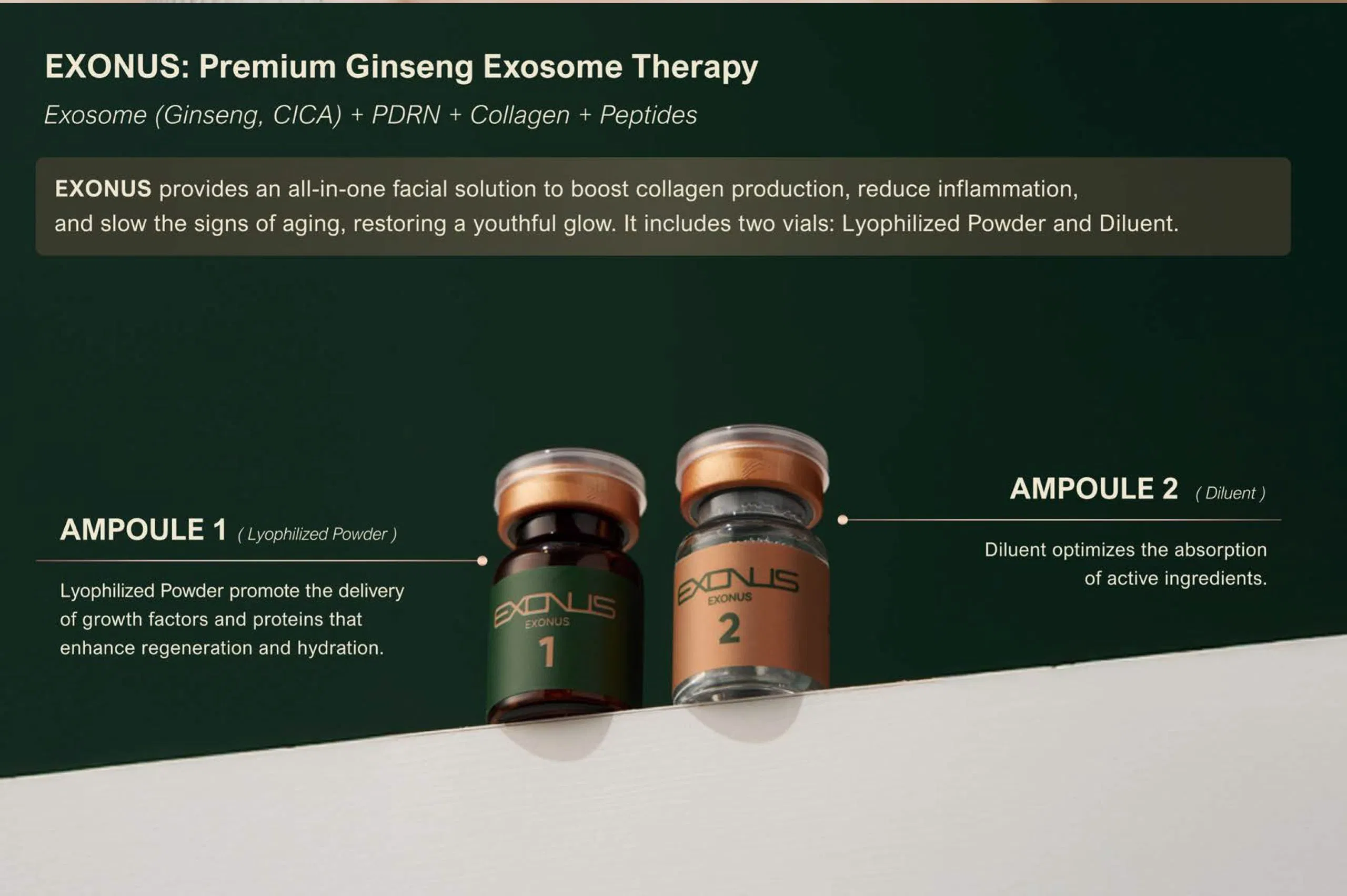 Exonus · product information