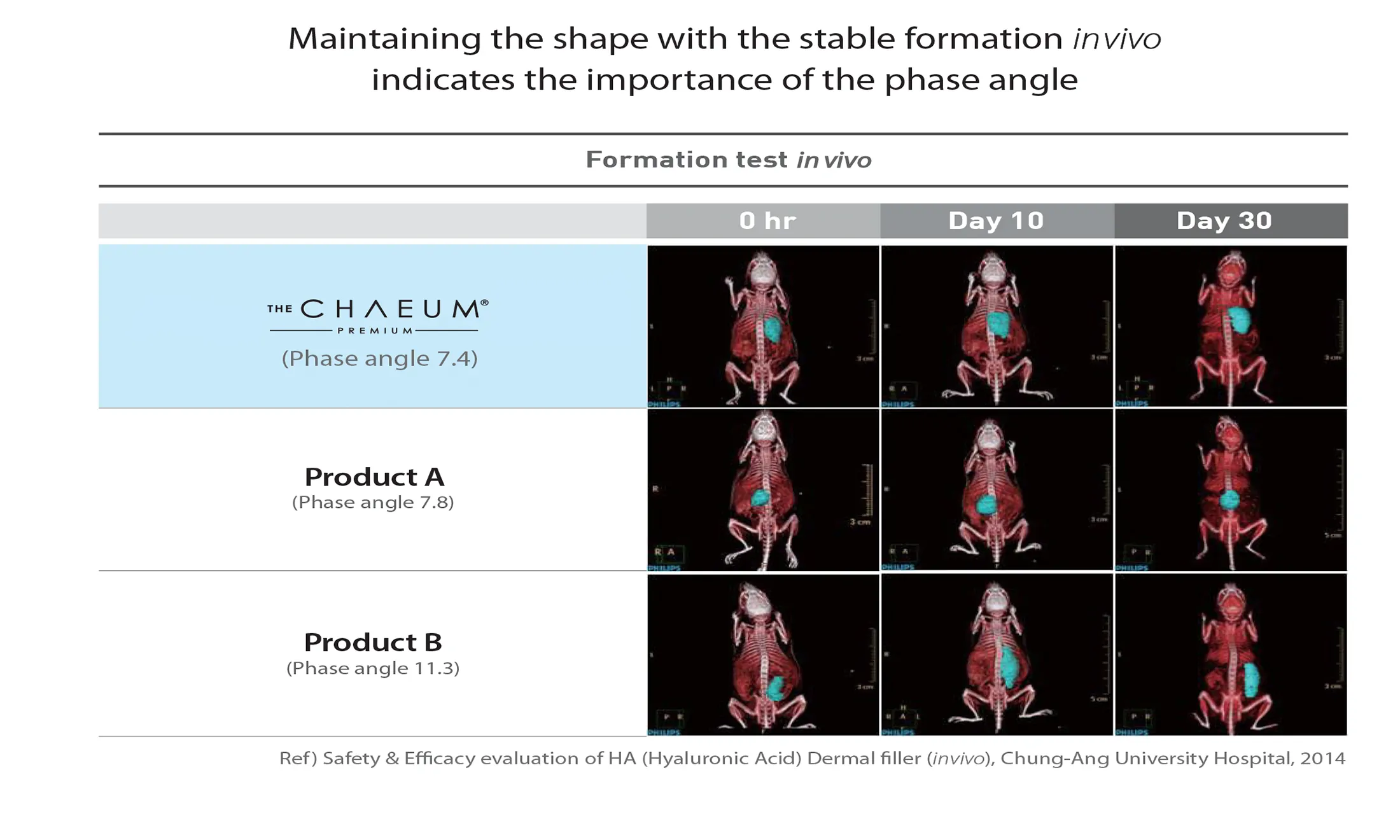 The Chaeum Premium #1 · product information
