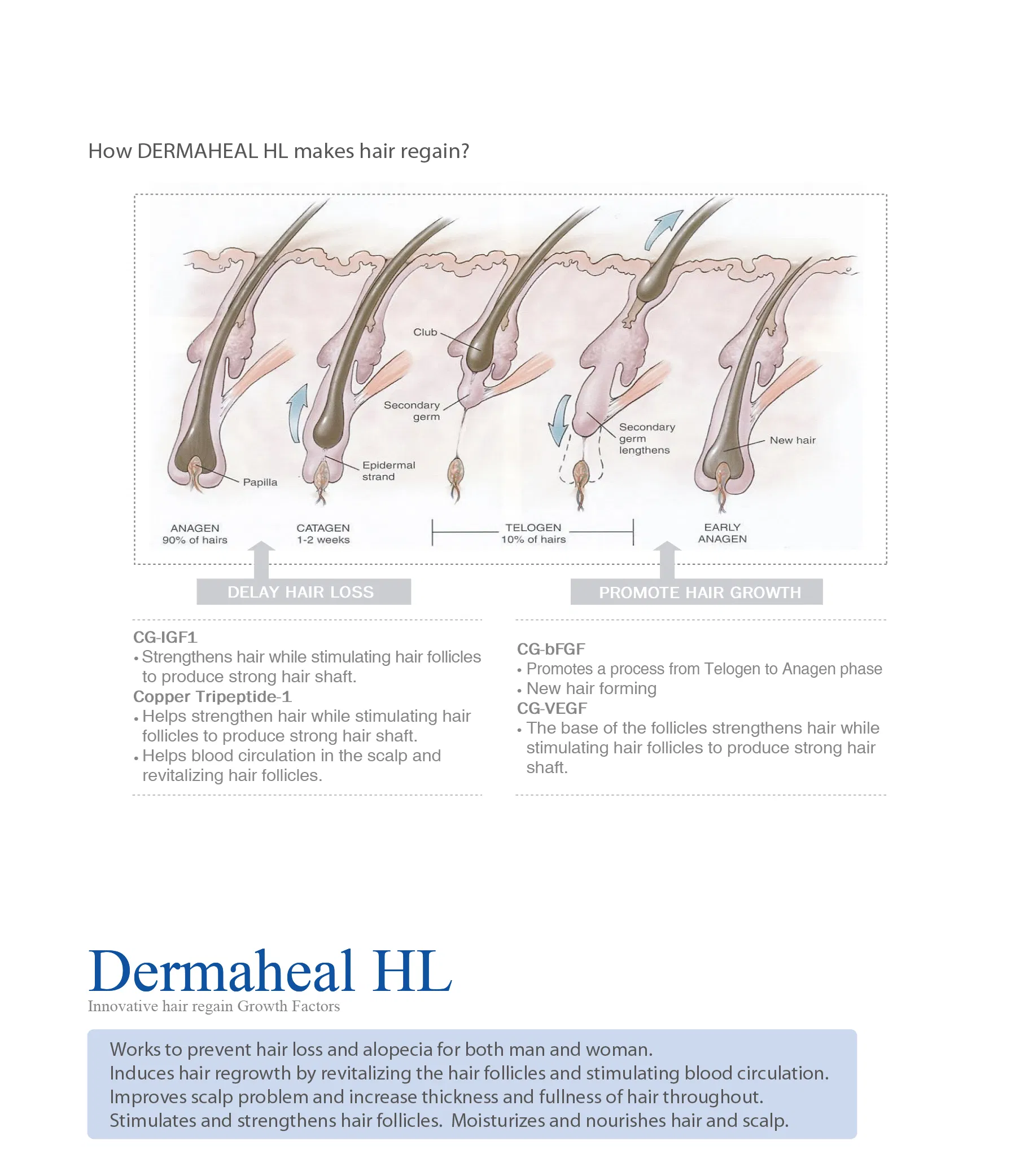 Dermaheal HL · product information