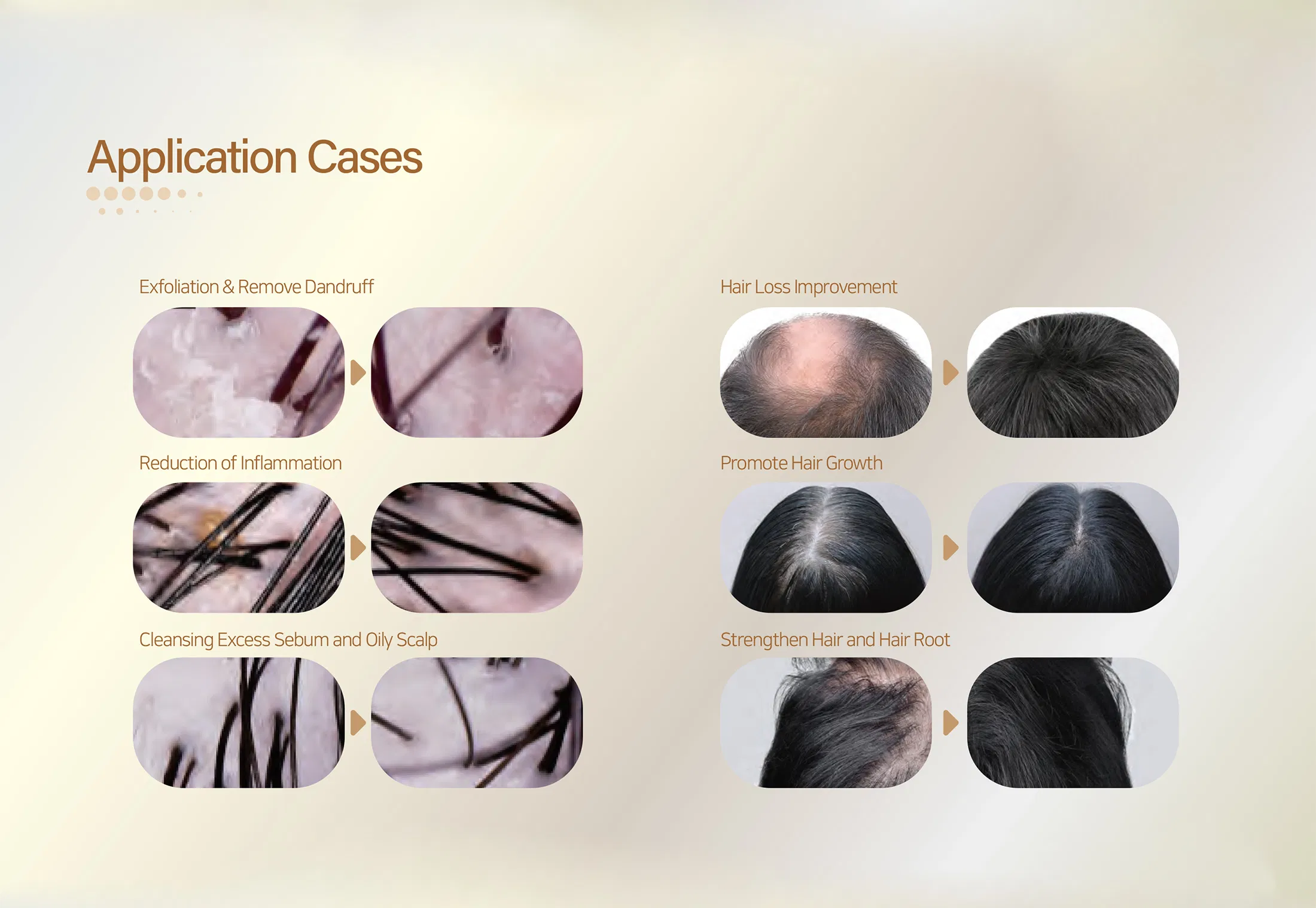 Sappire Hair Rich · product information
