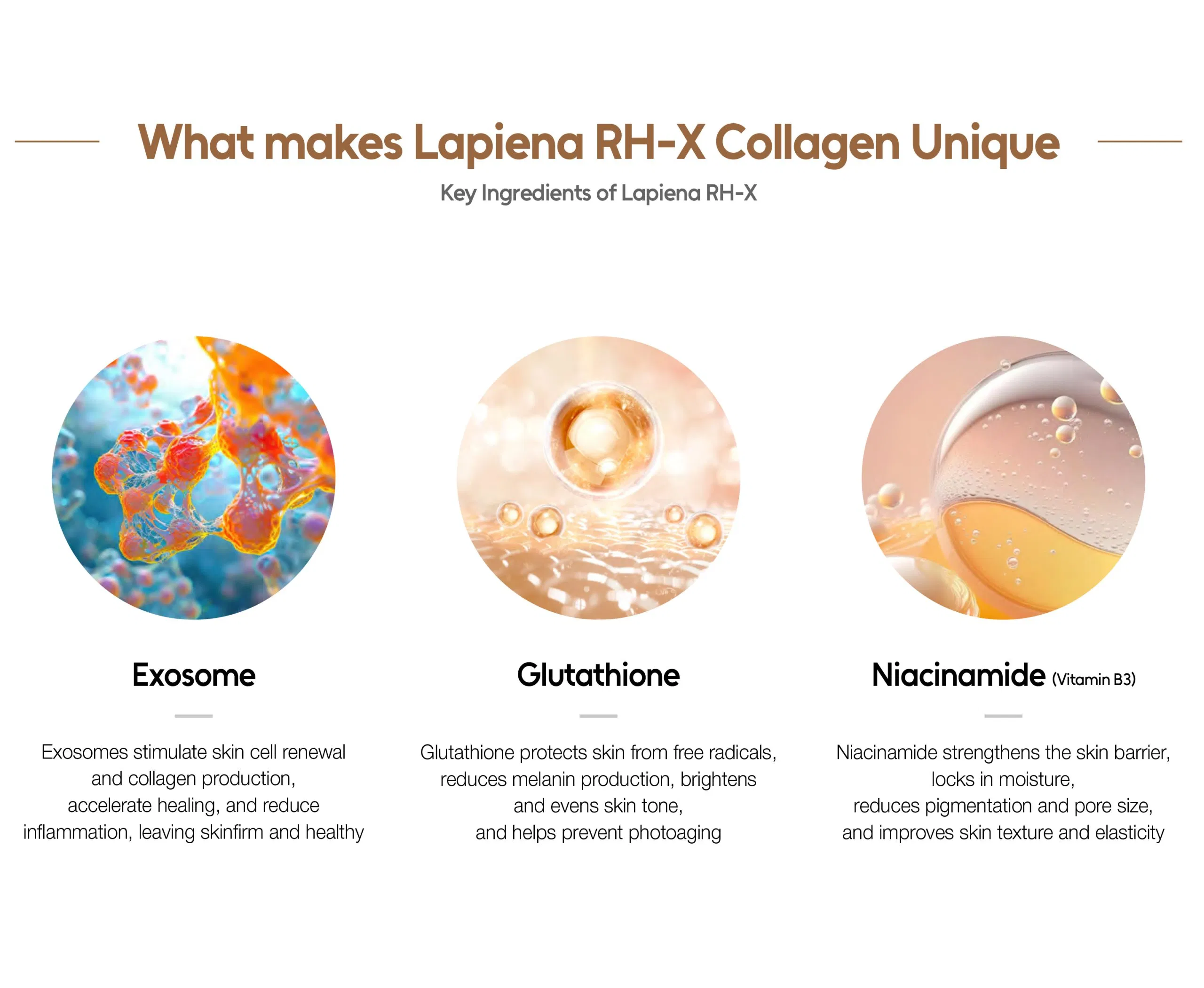 Lapiena RH-X Collagen · product information