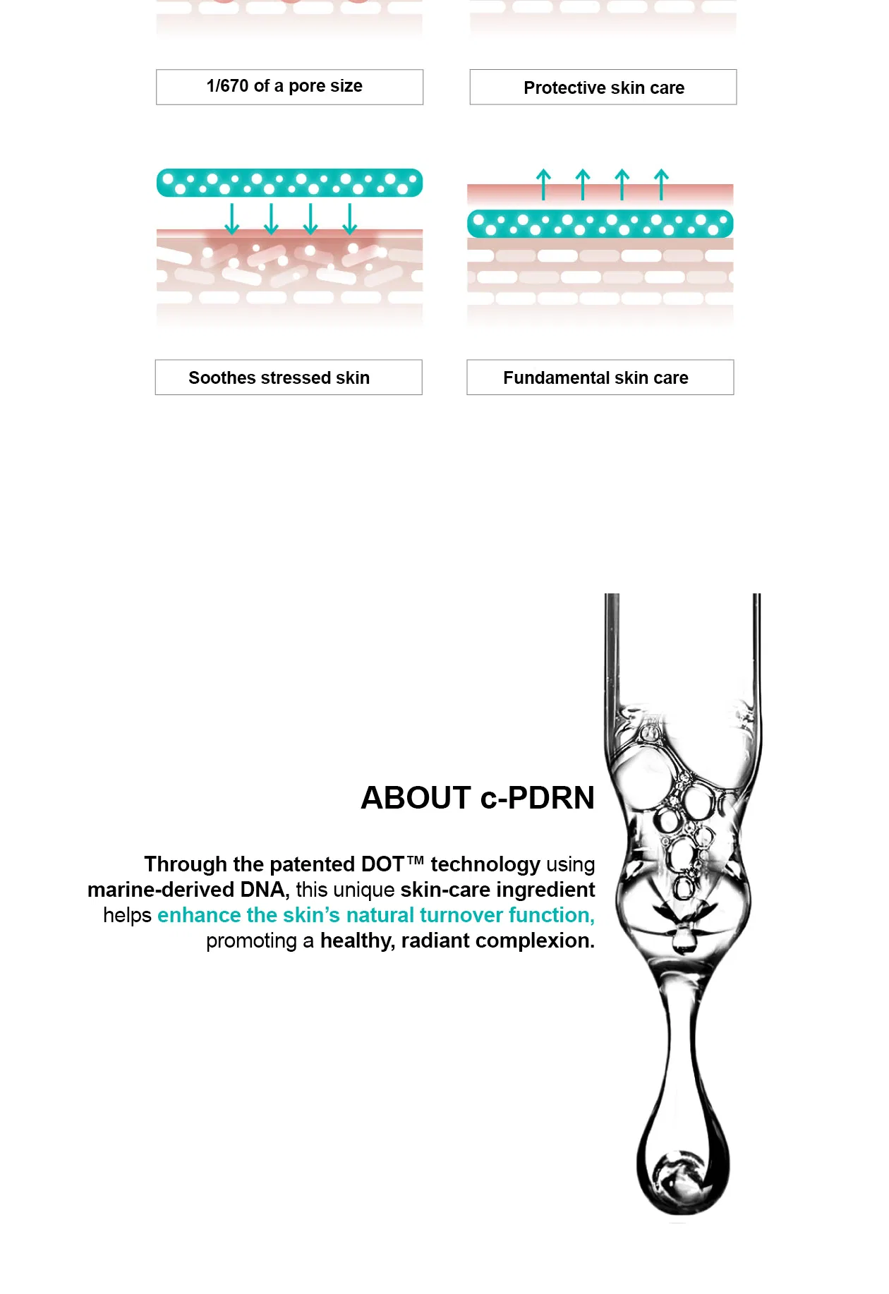 Rejuran Turnover Ampoule · product information