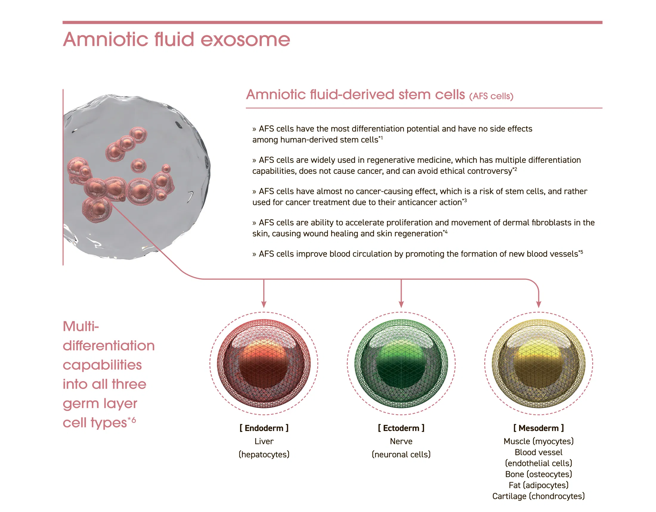 EXOXE · product information