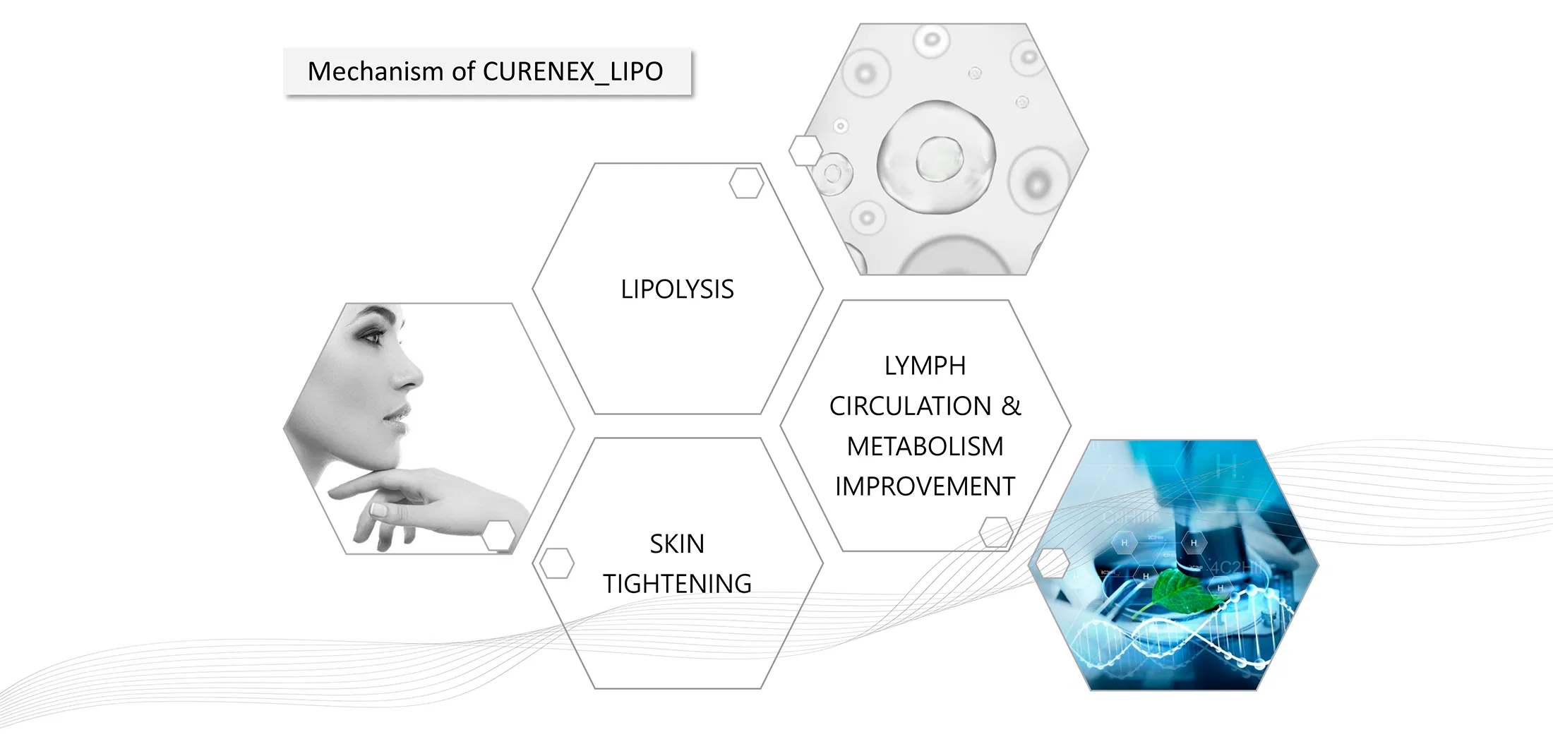 Curenex Lipo · product information