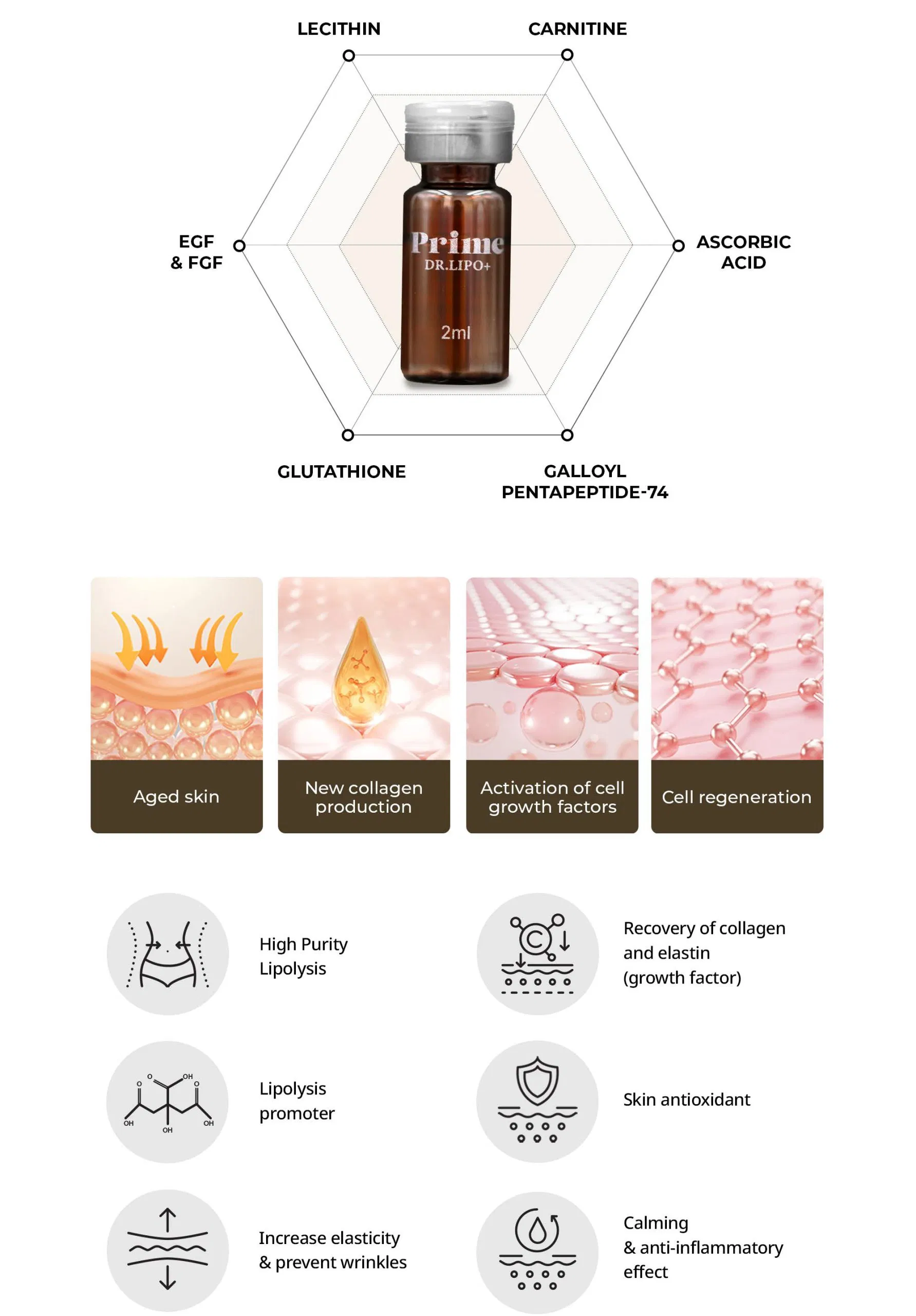 Prime Dr.Lipo+ · product information