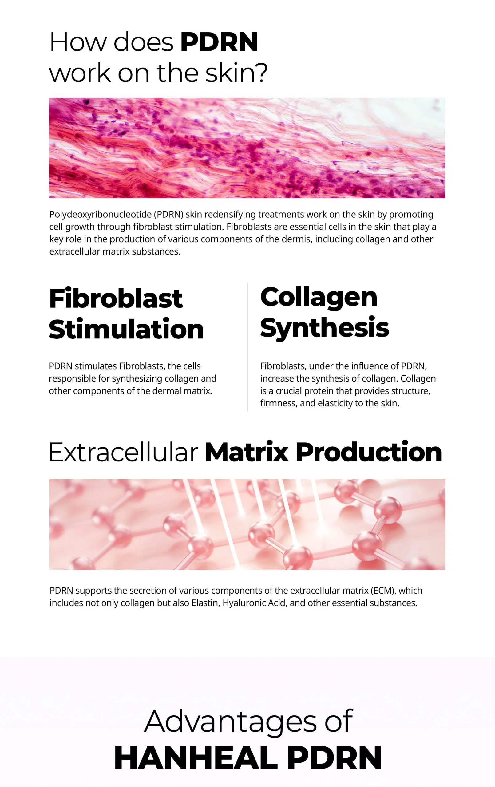 Hanheal PDRN Booster · product information