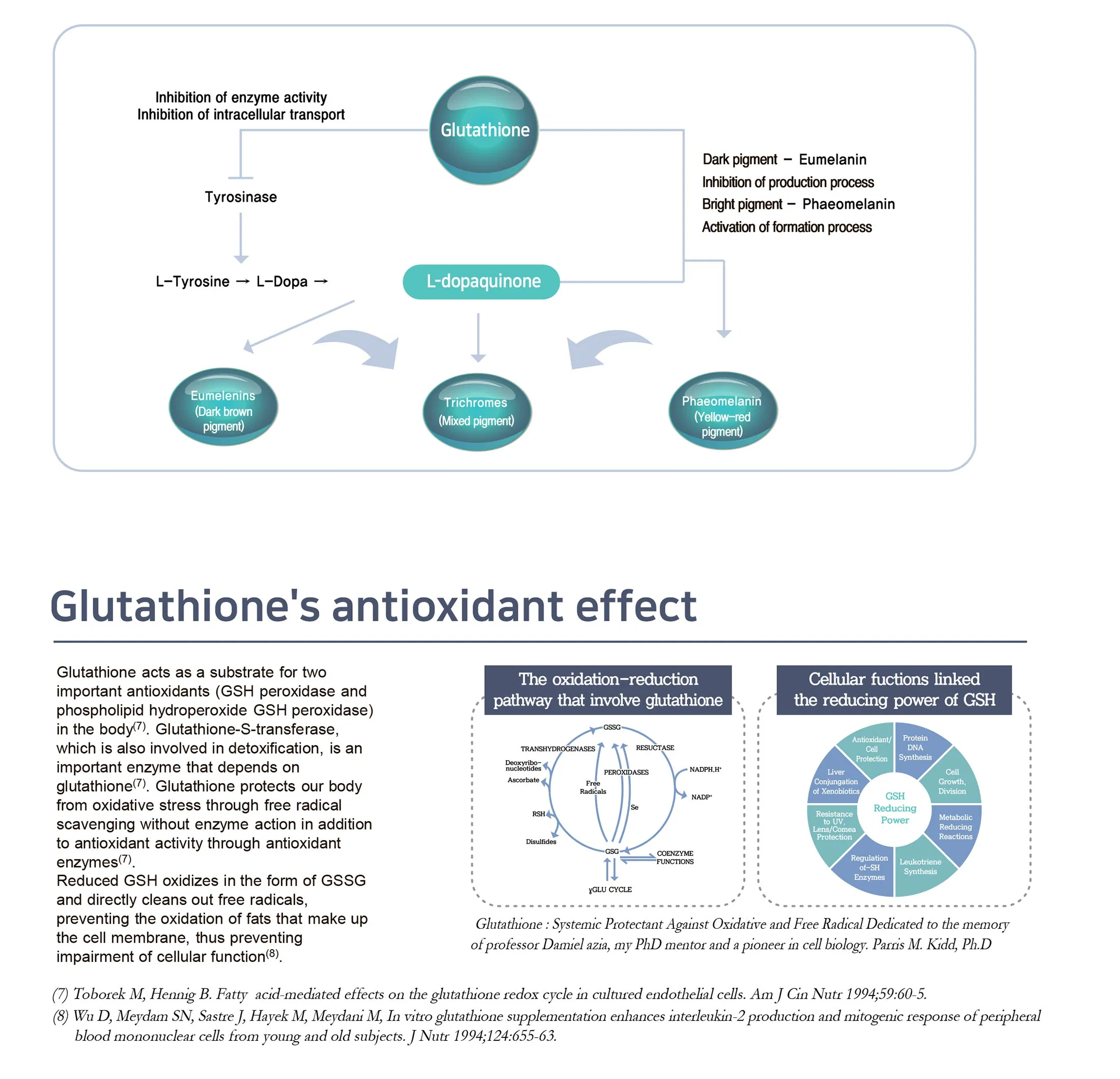 Glutaone Inj. 1200mg · product information