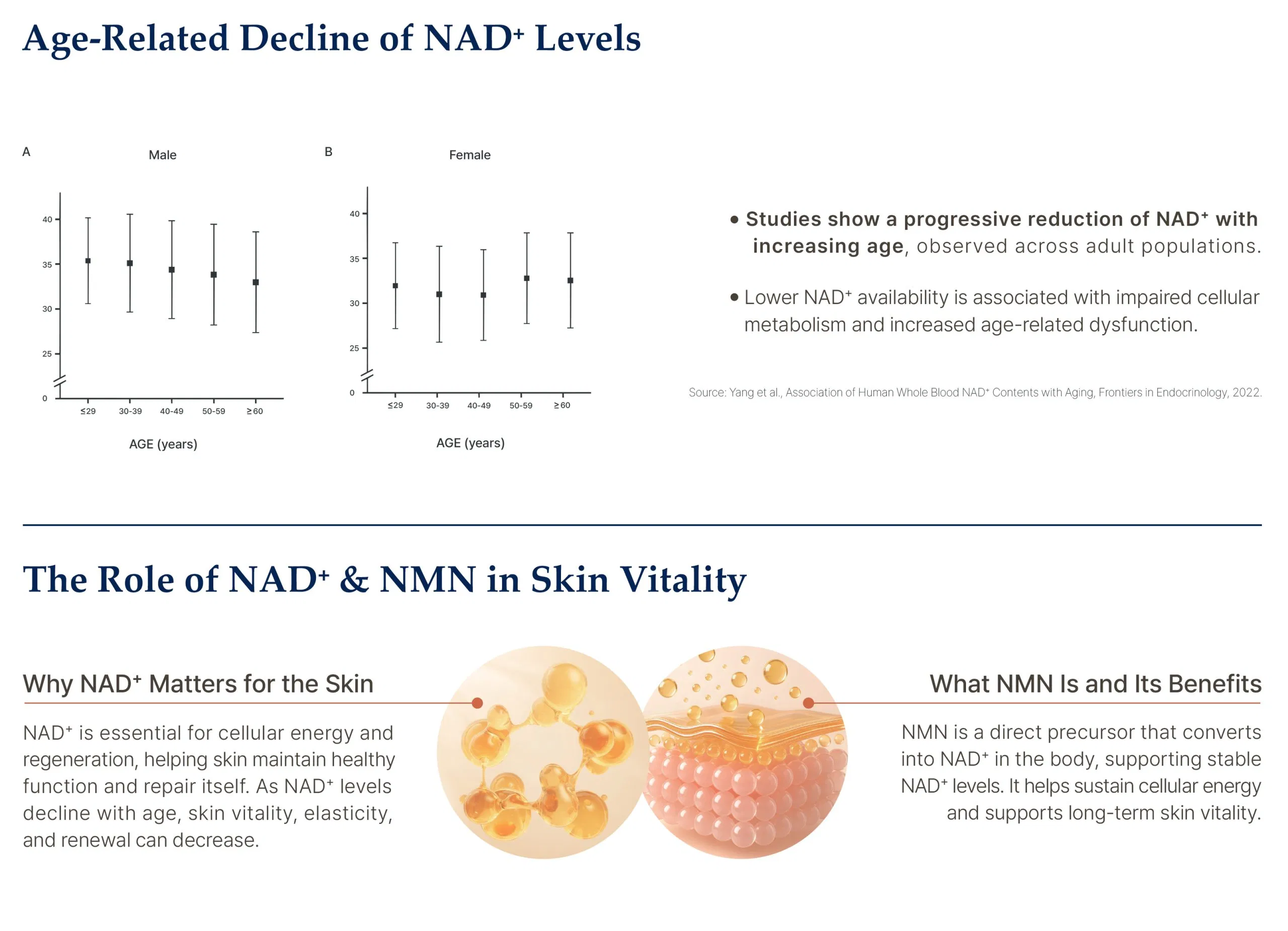 Lapiena NAD3+ · product information