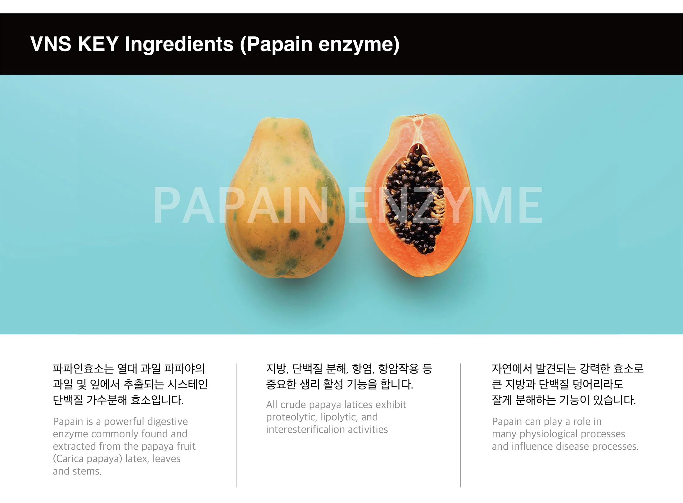 VNS - Lipolytic Solution · product information