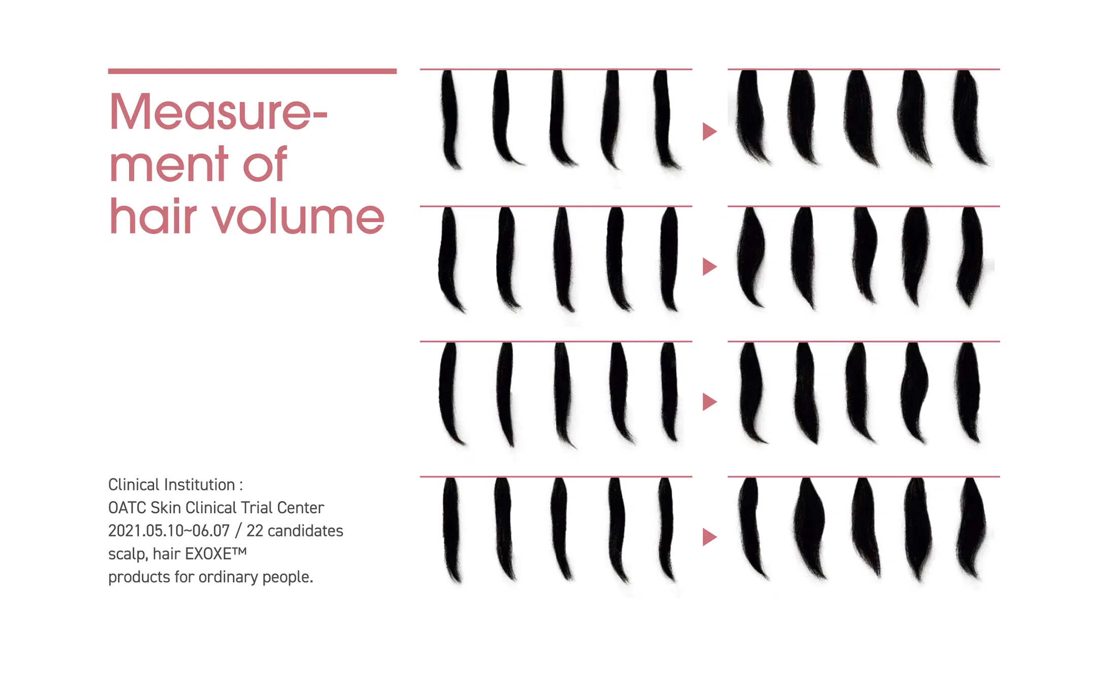 Exoxe Hair · product information