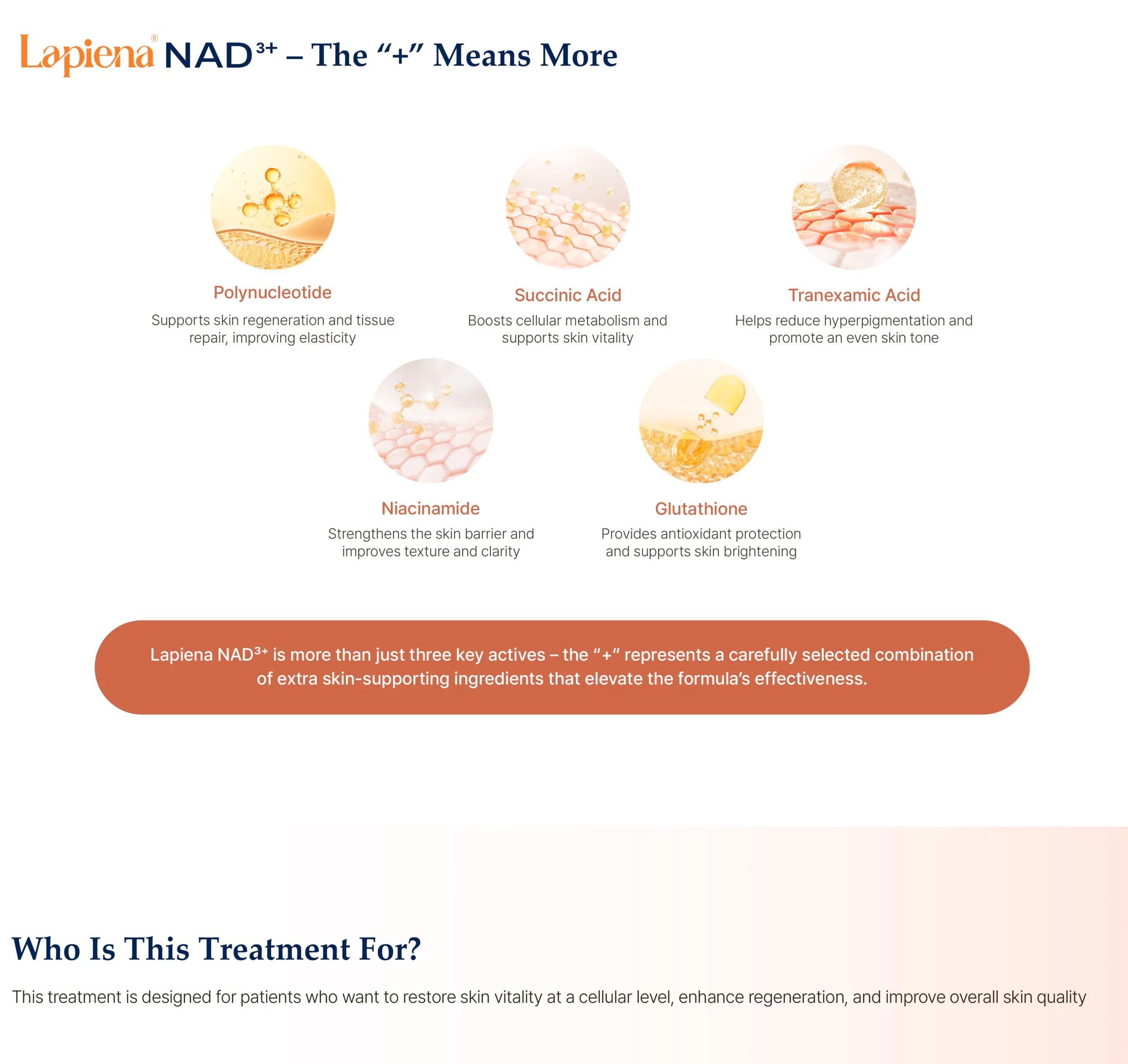 Lapiena NAD3+ · product information