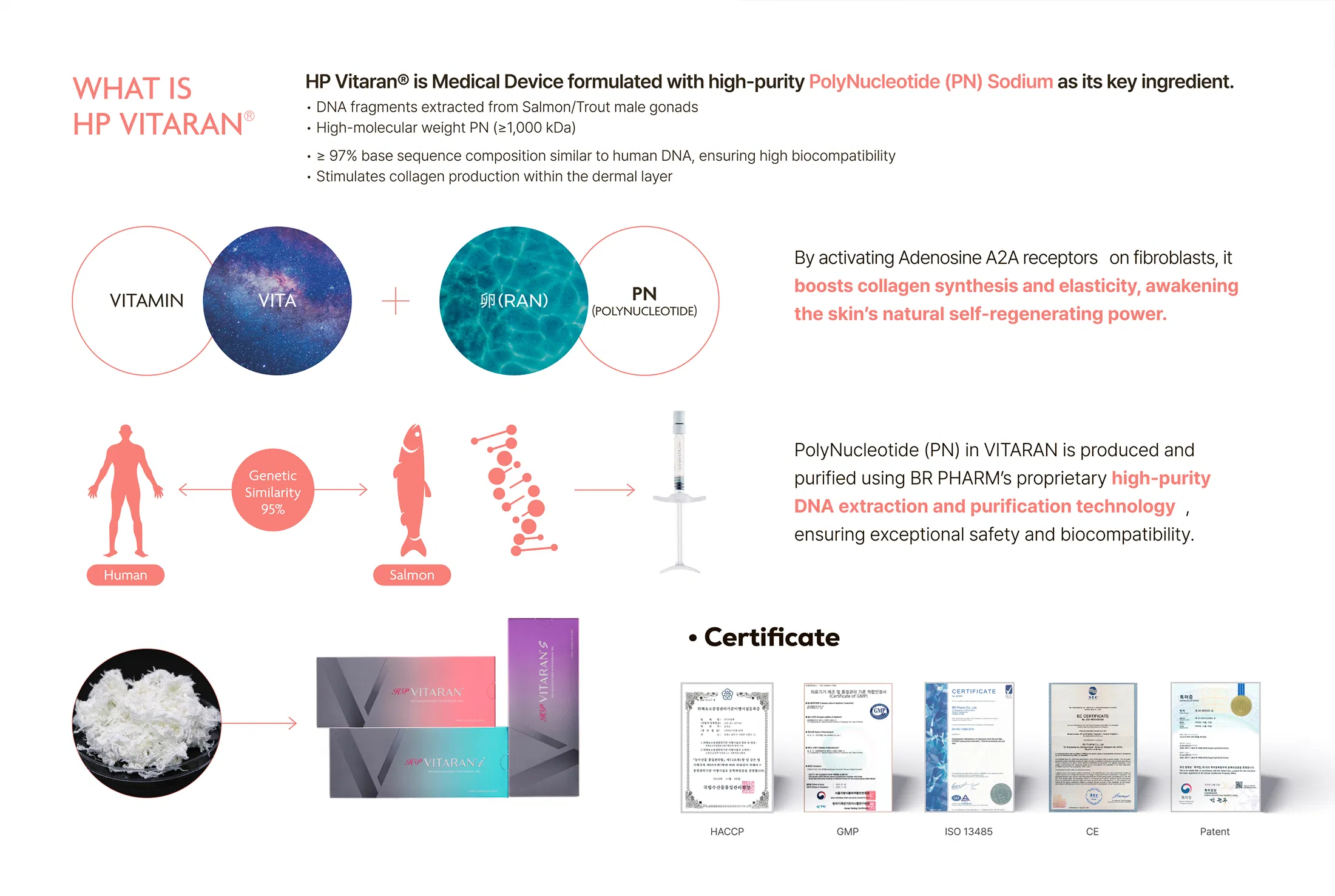 HP Vitaran · product information