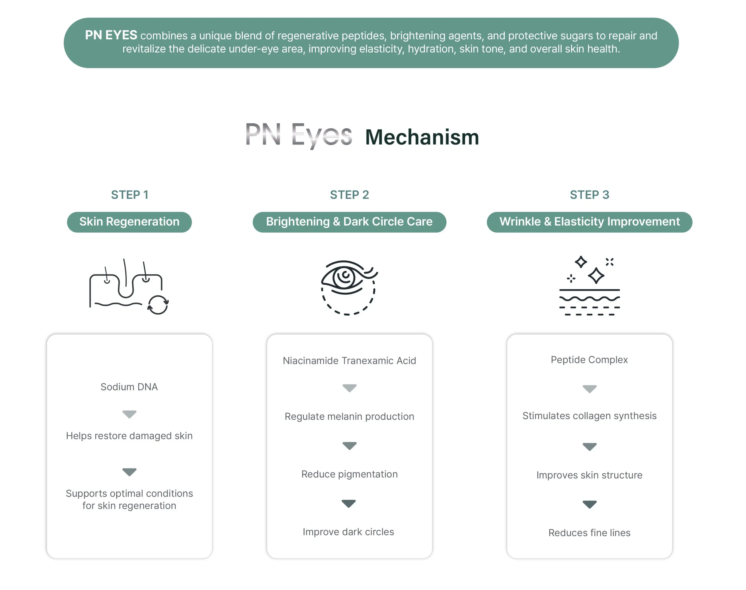 Lapiena PN Eyes · product information