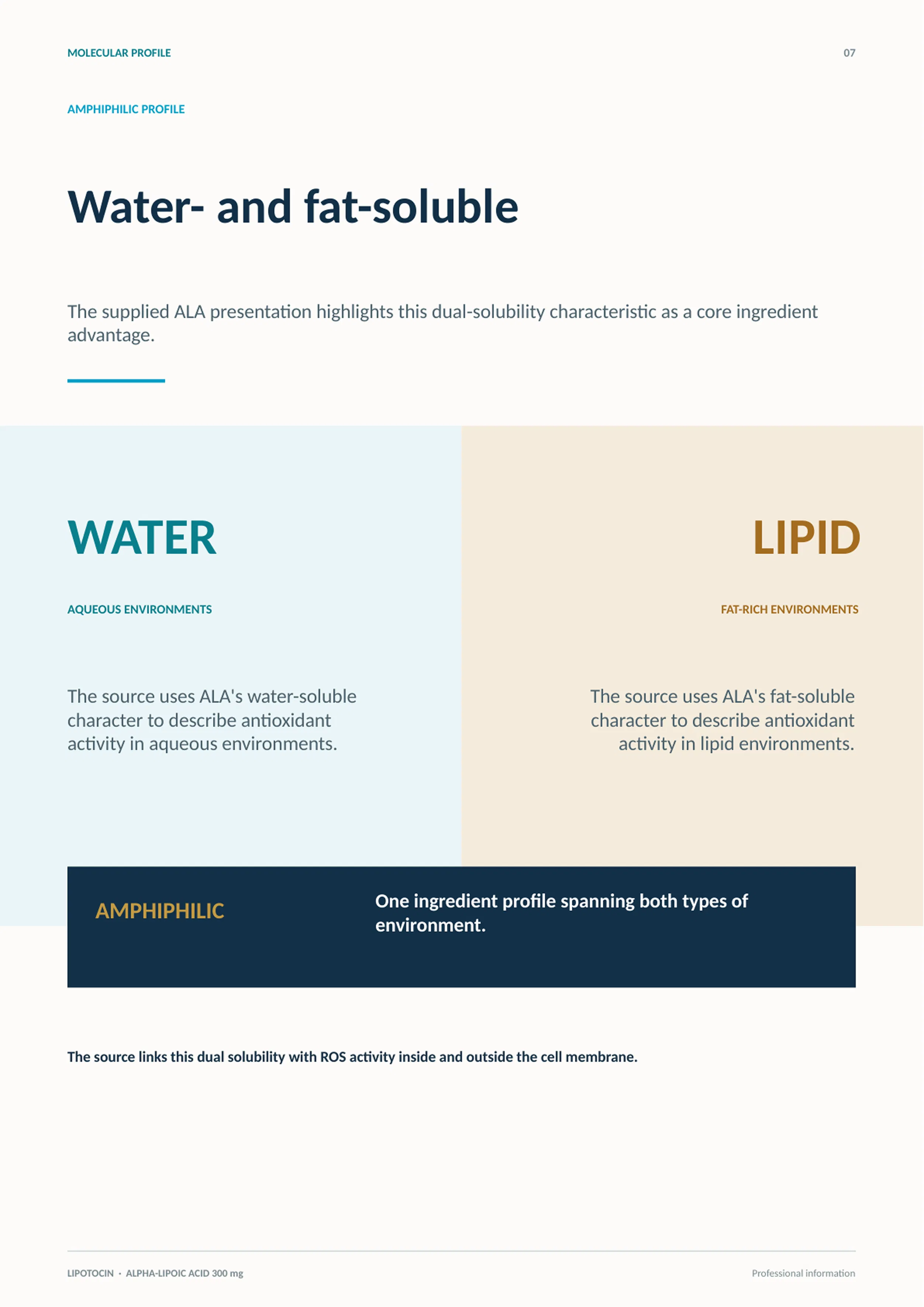 Lipotocin Inj. 300mg · product information