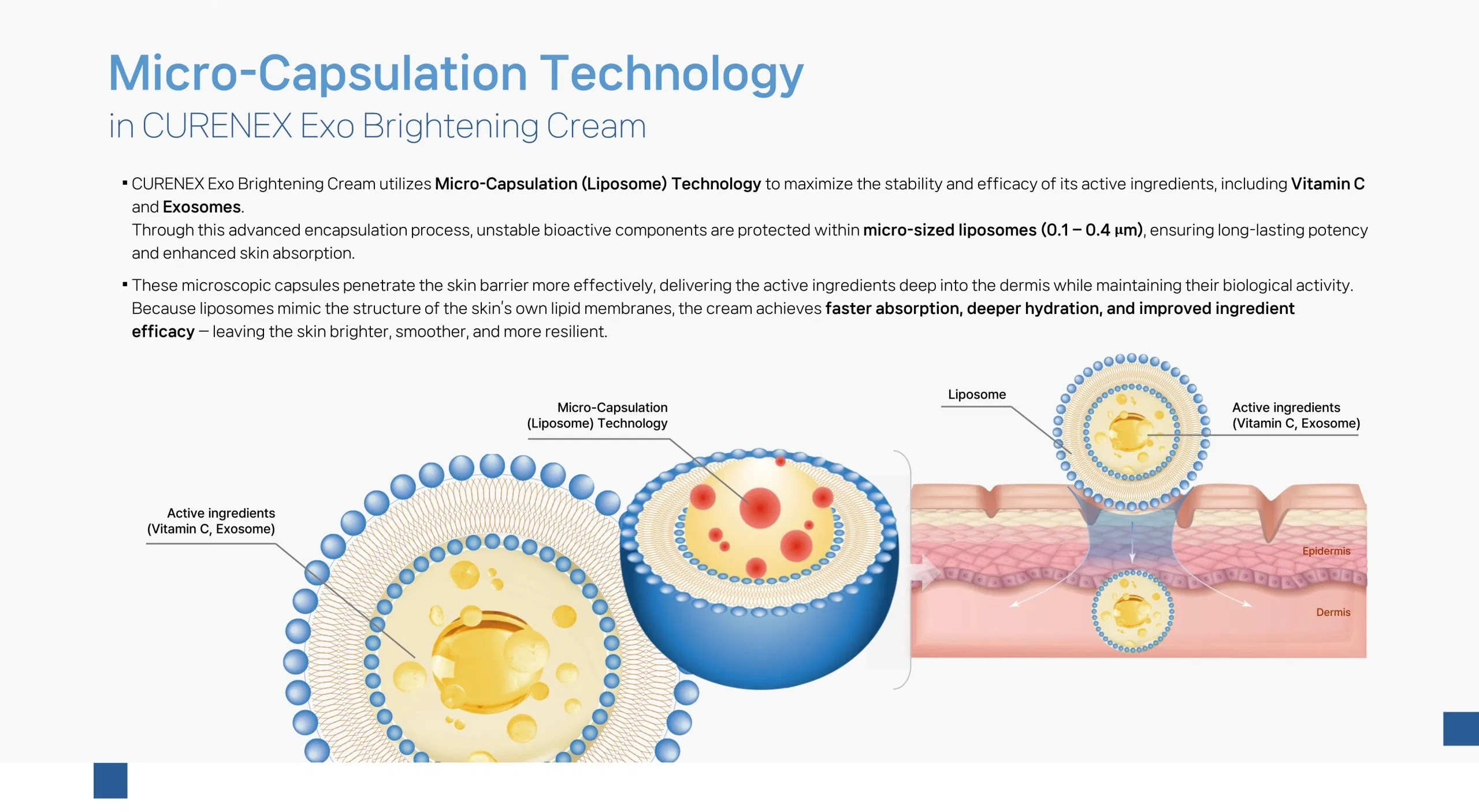 Curenex Exo Brightening Cream · product information