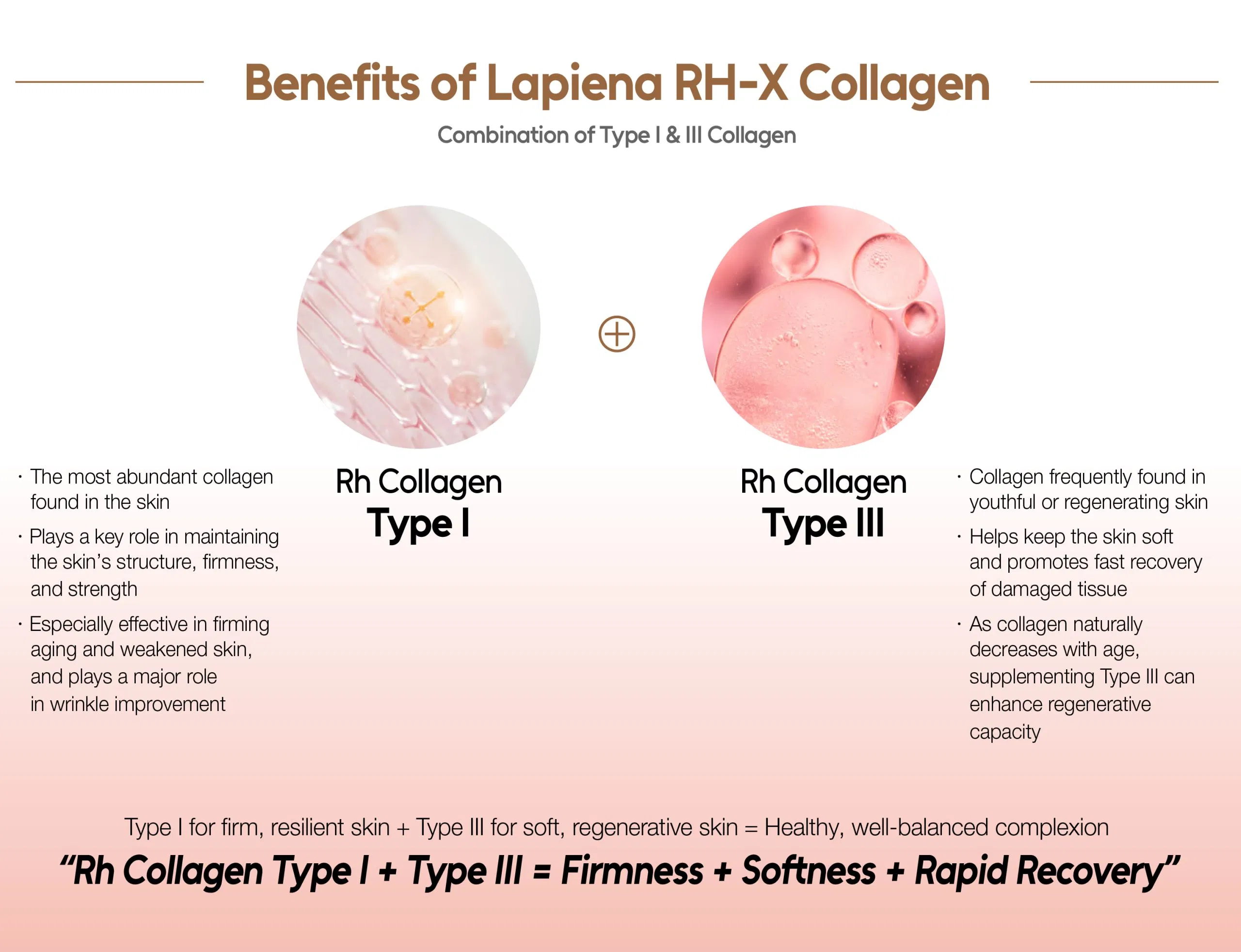 Lapiena RH-X Collagen · product information