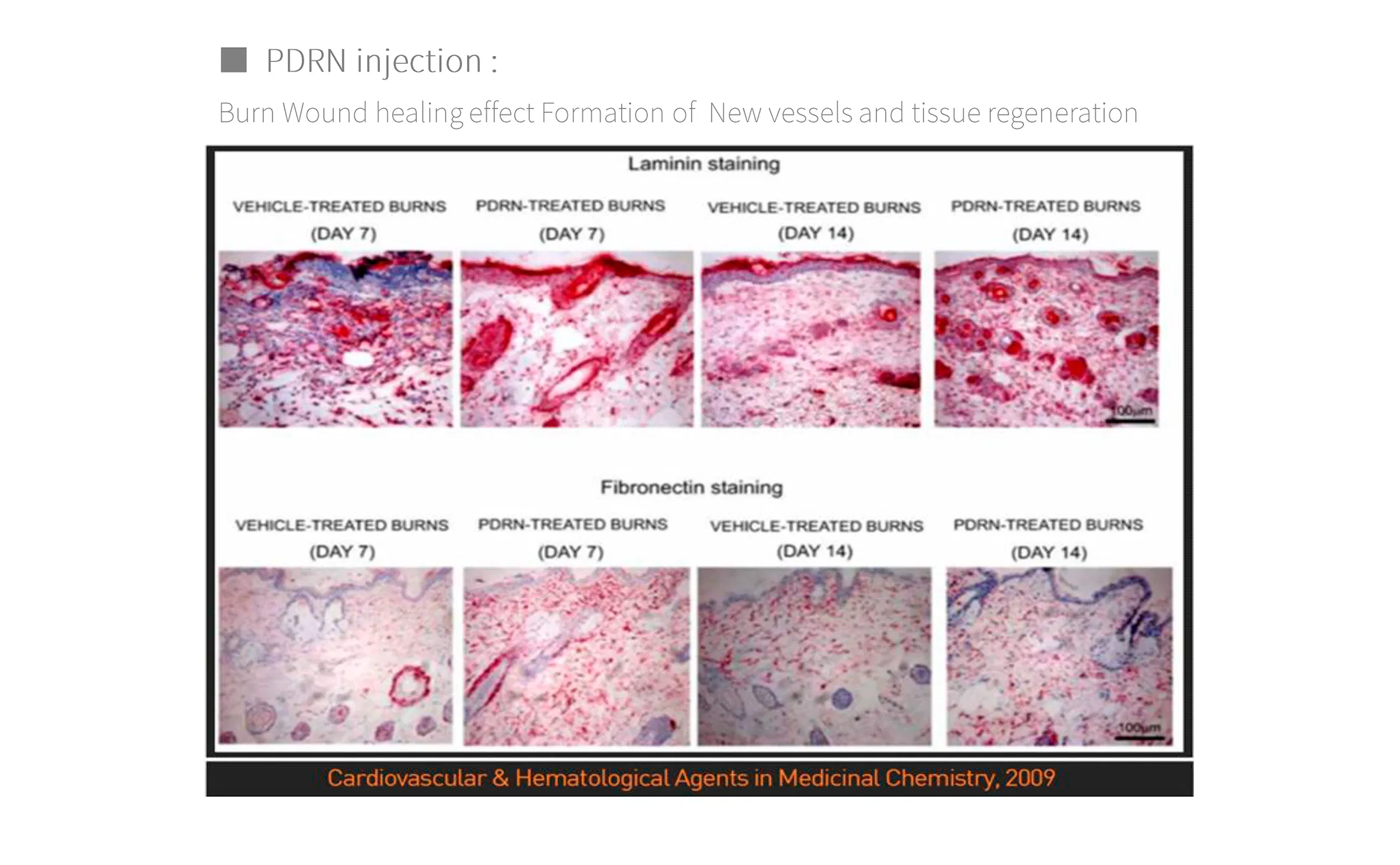 Curenex Rejuvenating Solution · product information