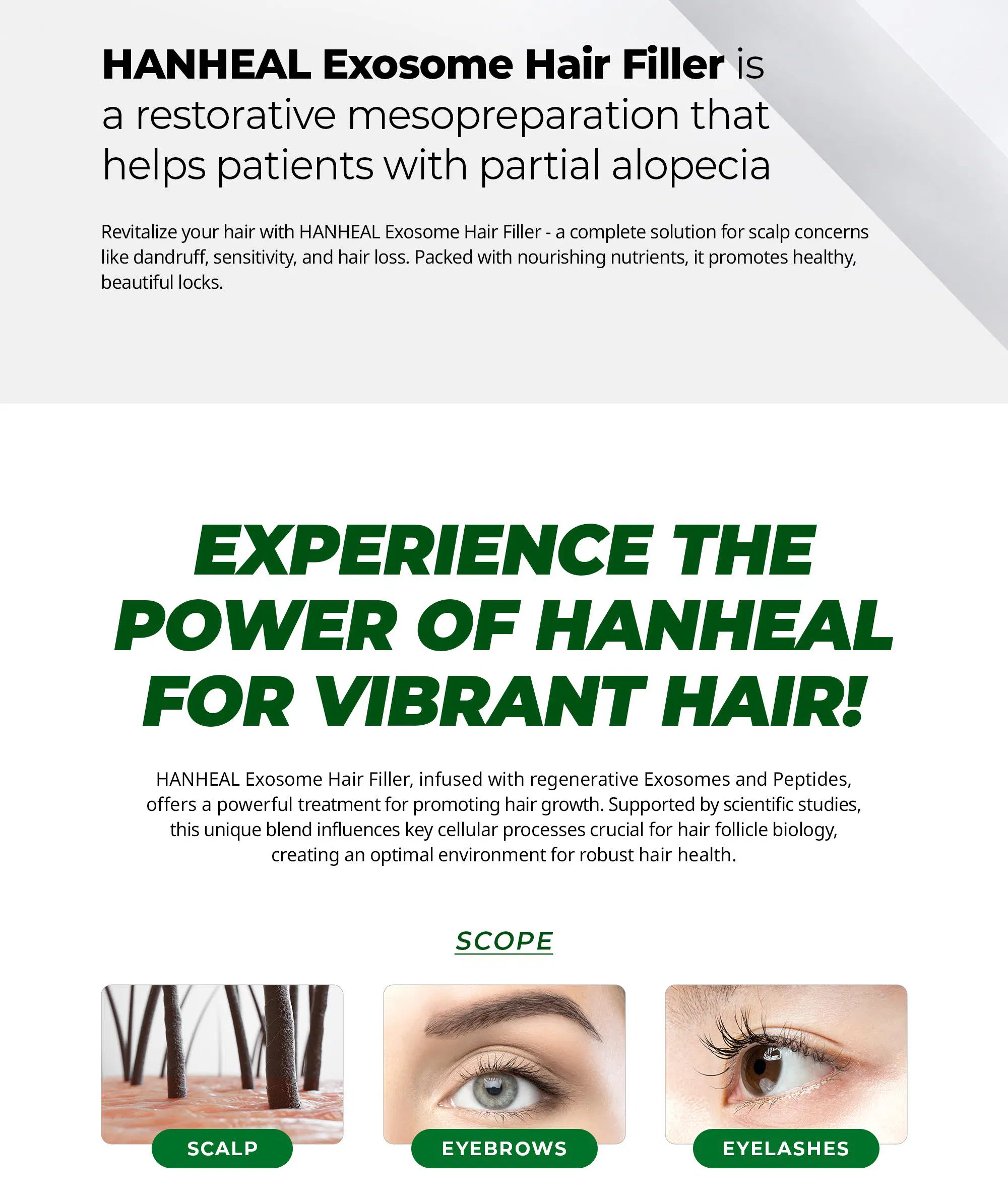 Hanheal Exosome Hair Filler · product information