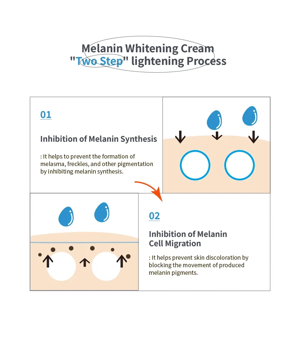 GTM Mela Cell · product information