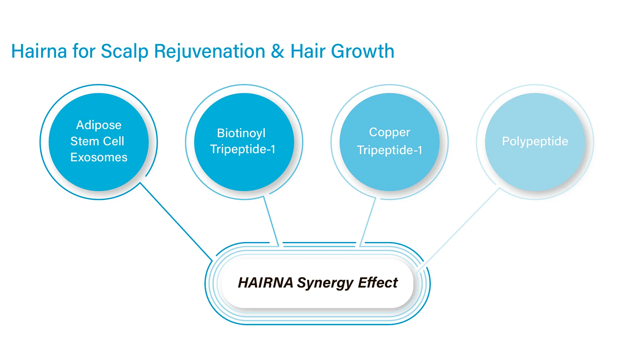 HAIRNA Exosome Hair Fill · product information