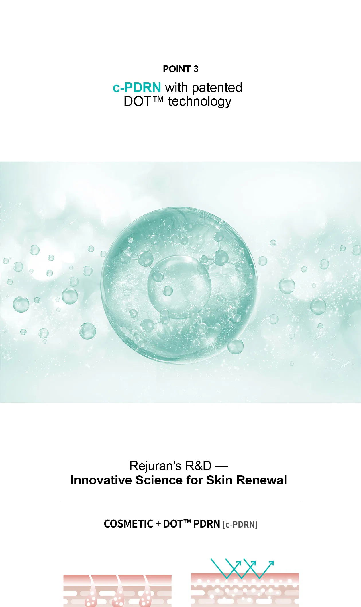 Rejuran Turnover Ampoule · product information