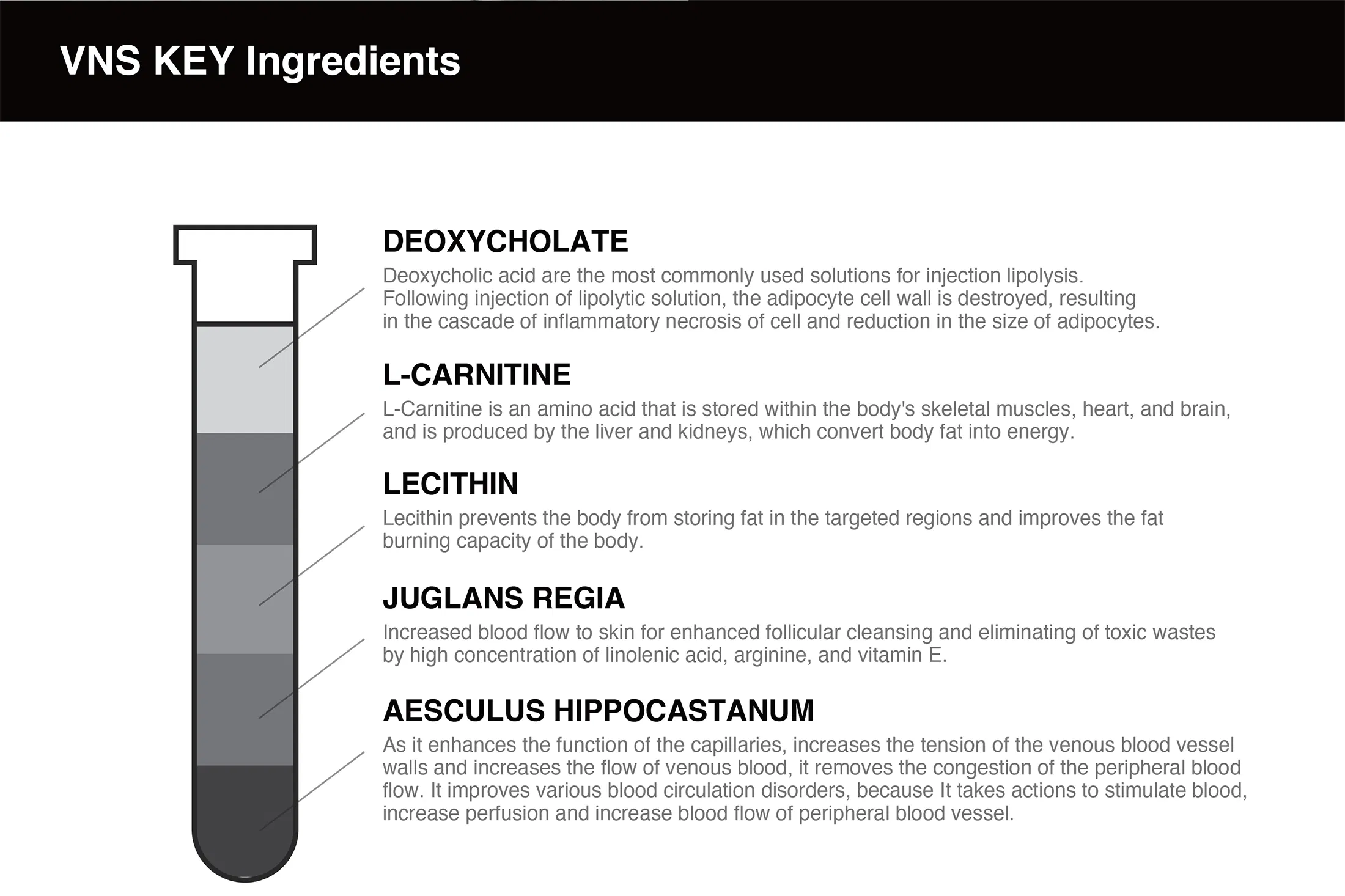 VNS - Lipolytic Solution · product information