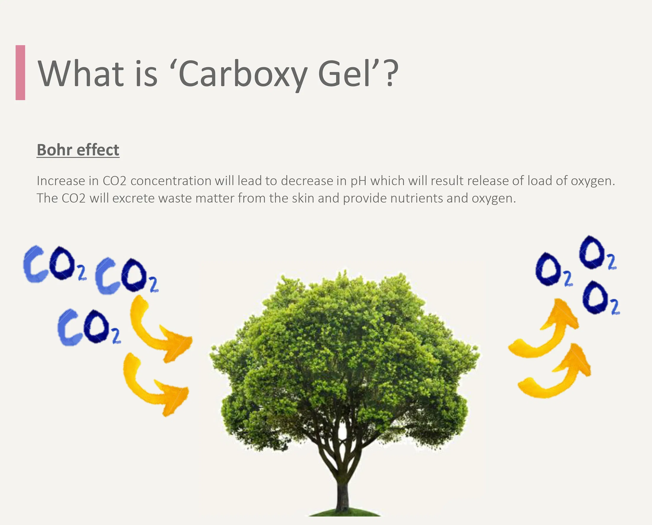 Riox rich in oxygen CO2 carbon mask · product information