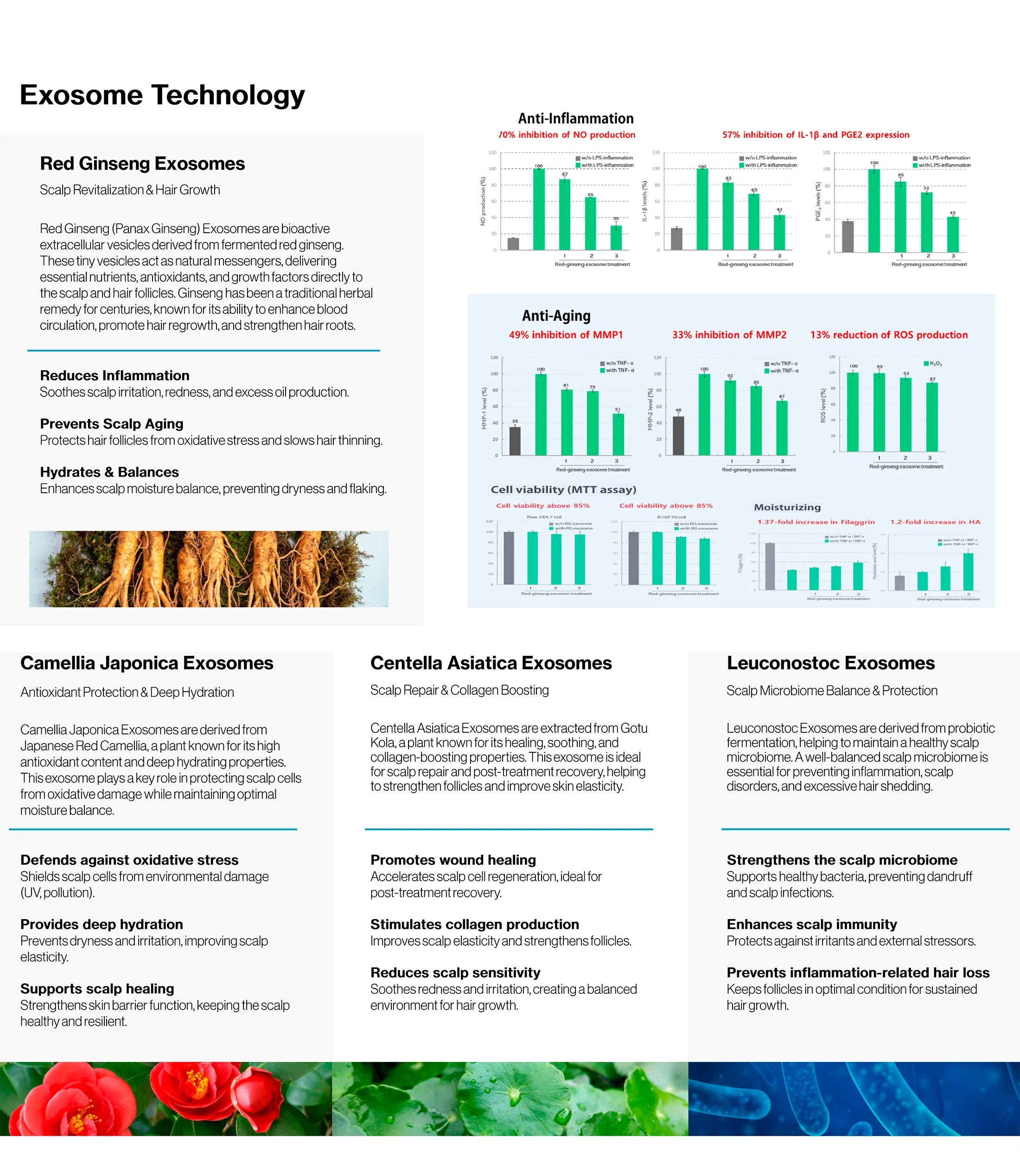 Exovera 4X · product information