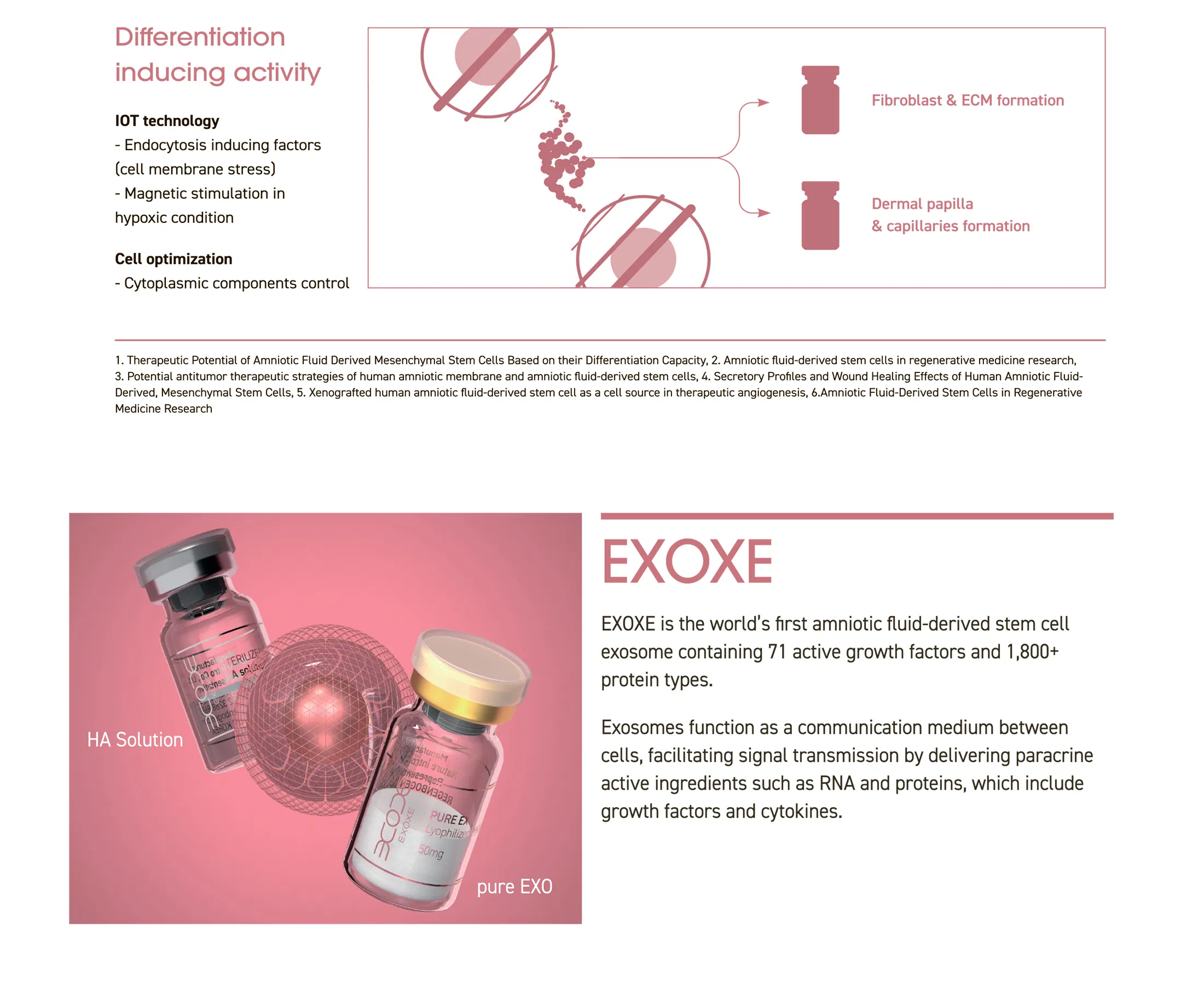 EXOXE · product information