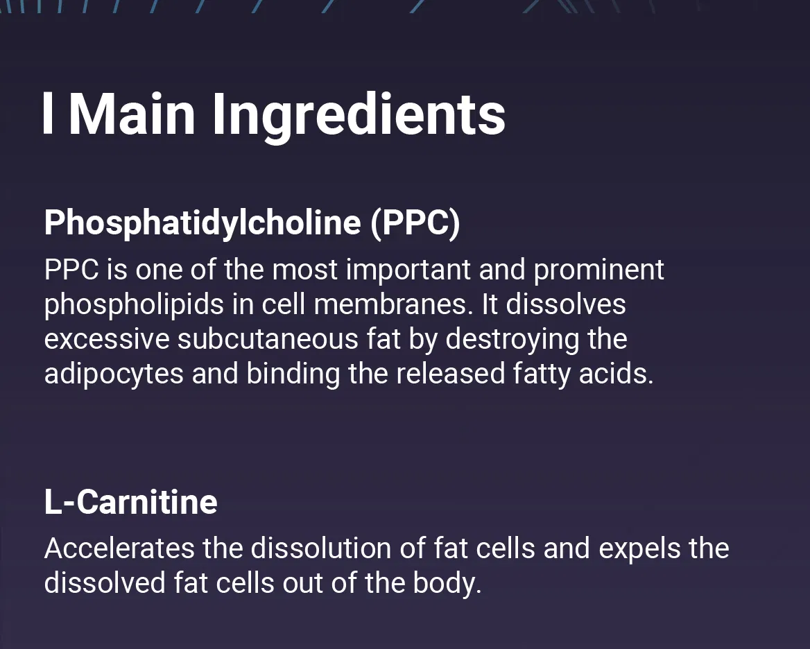 LIPORAH S (for body) · product information