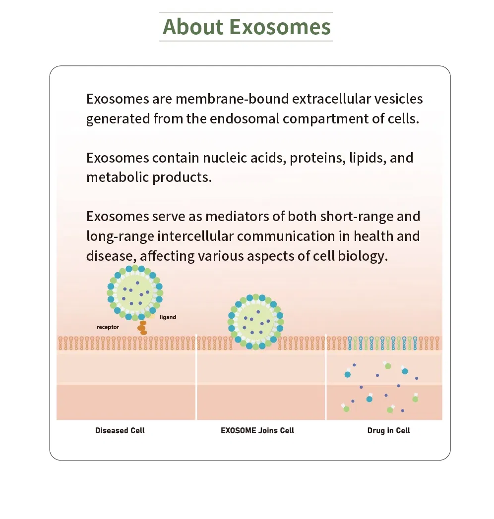 GTM Exoshine · product information