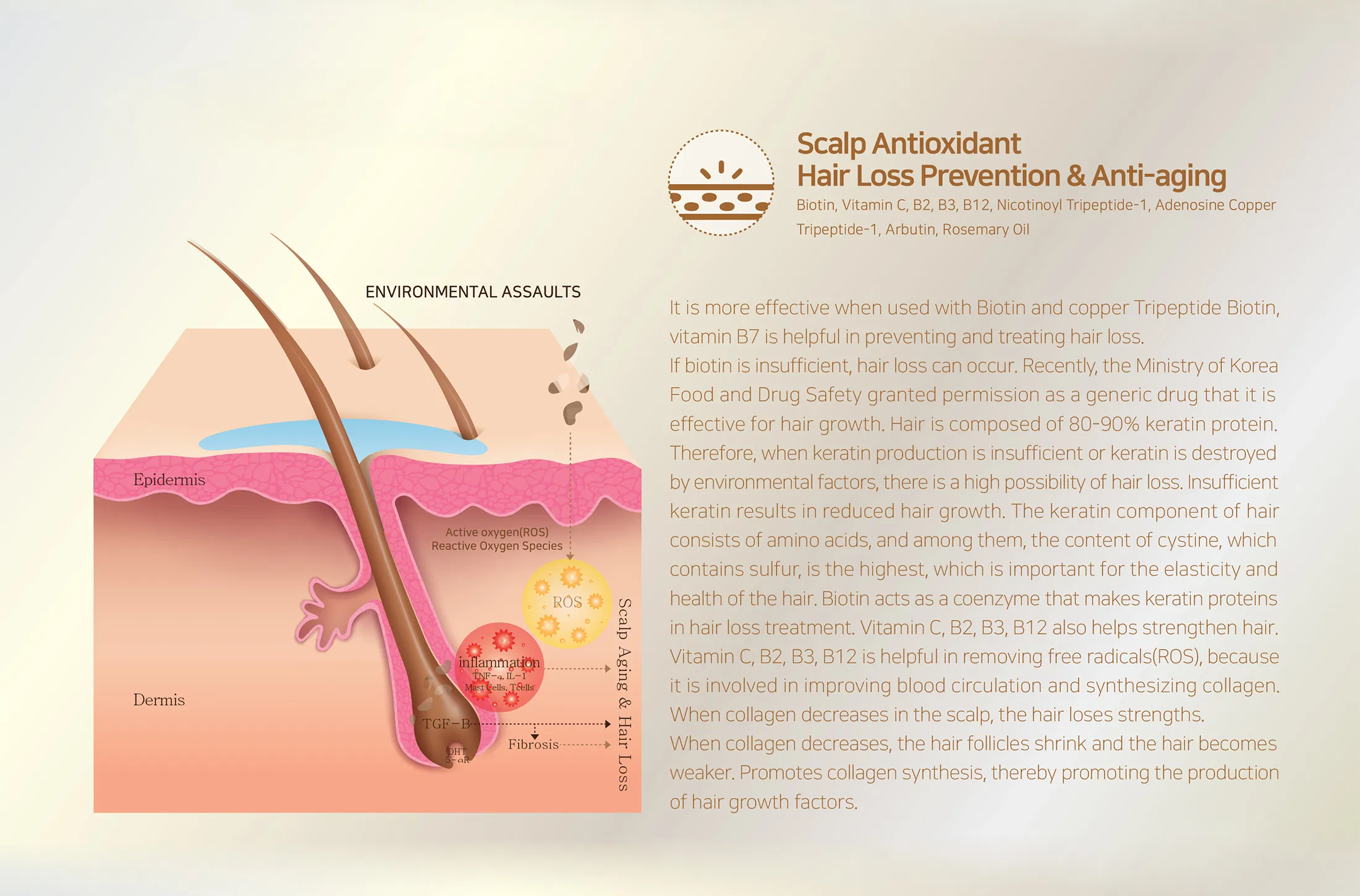 Sappire Hair Rich · product information