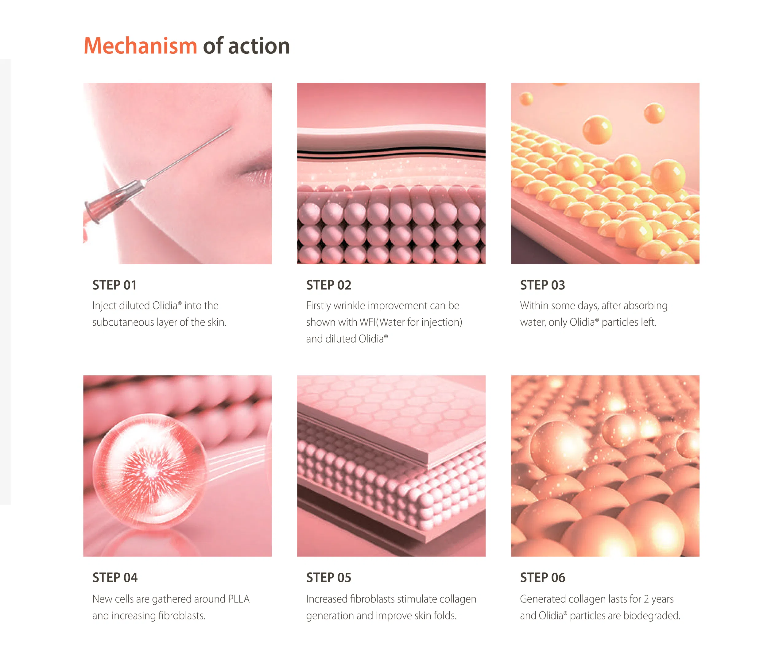 Olidia · product information