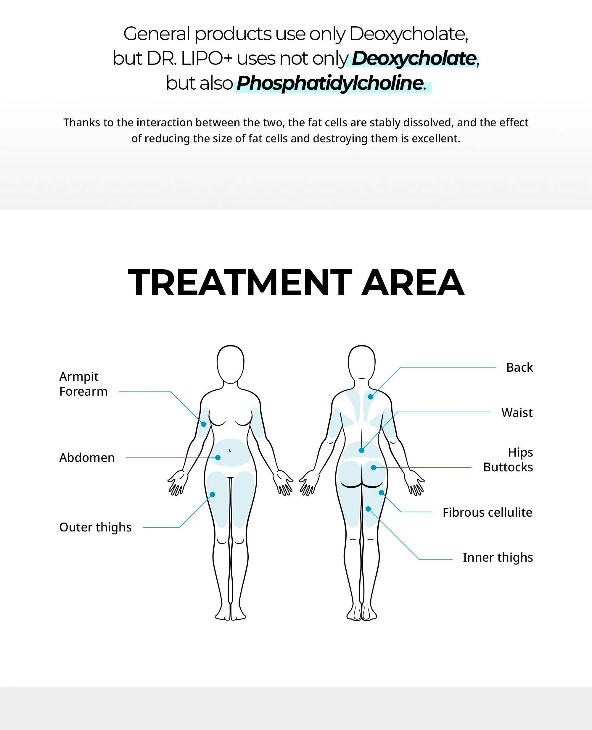 Dr. Lipo+ PPC solution (Body) · product information