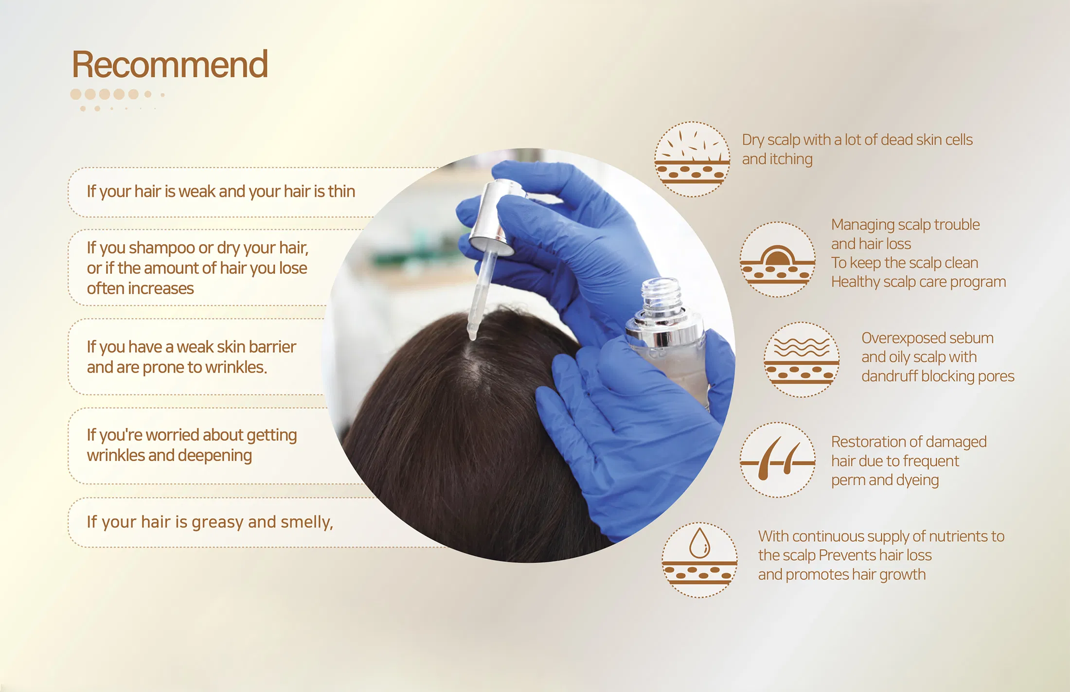 Sappire Hair Rich · product information