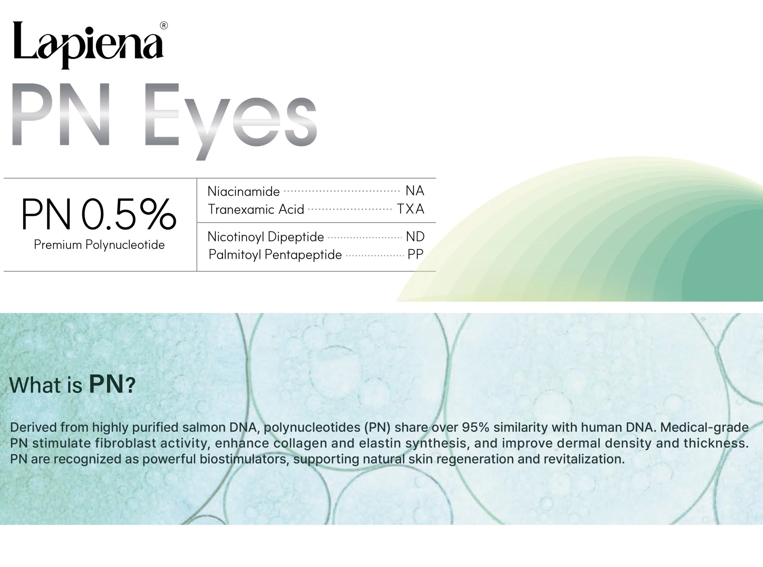 Lapiena PN Eyes · product information