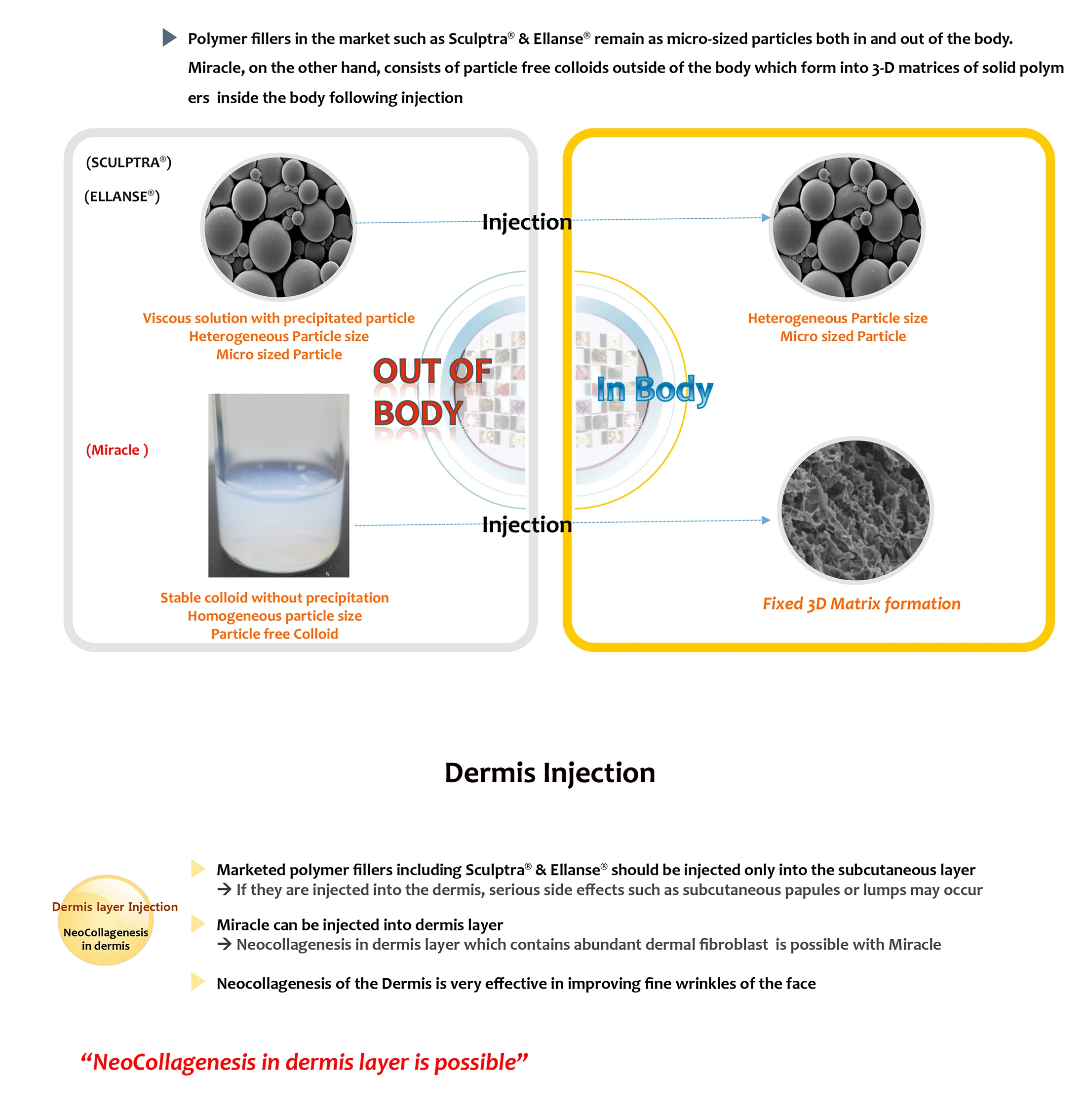 Miracle H · product information