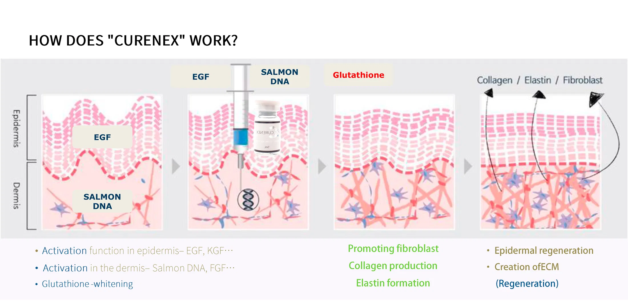 Curenex Rejuvenating Solution · product information