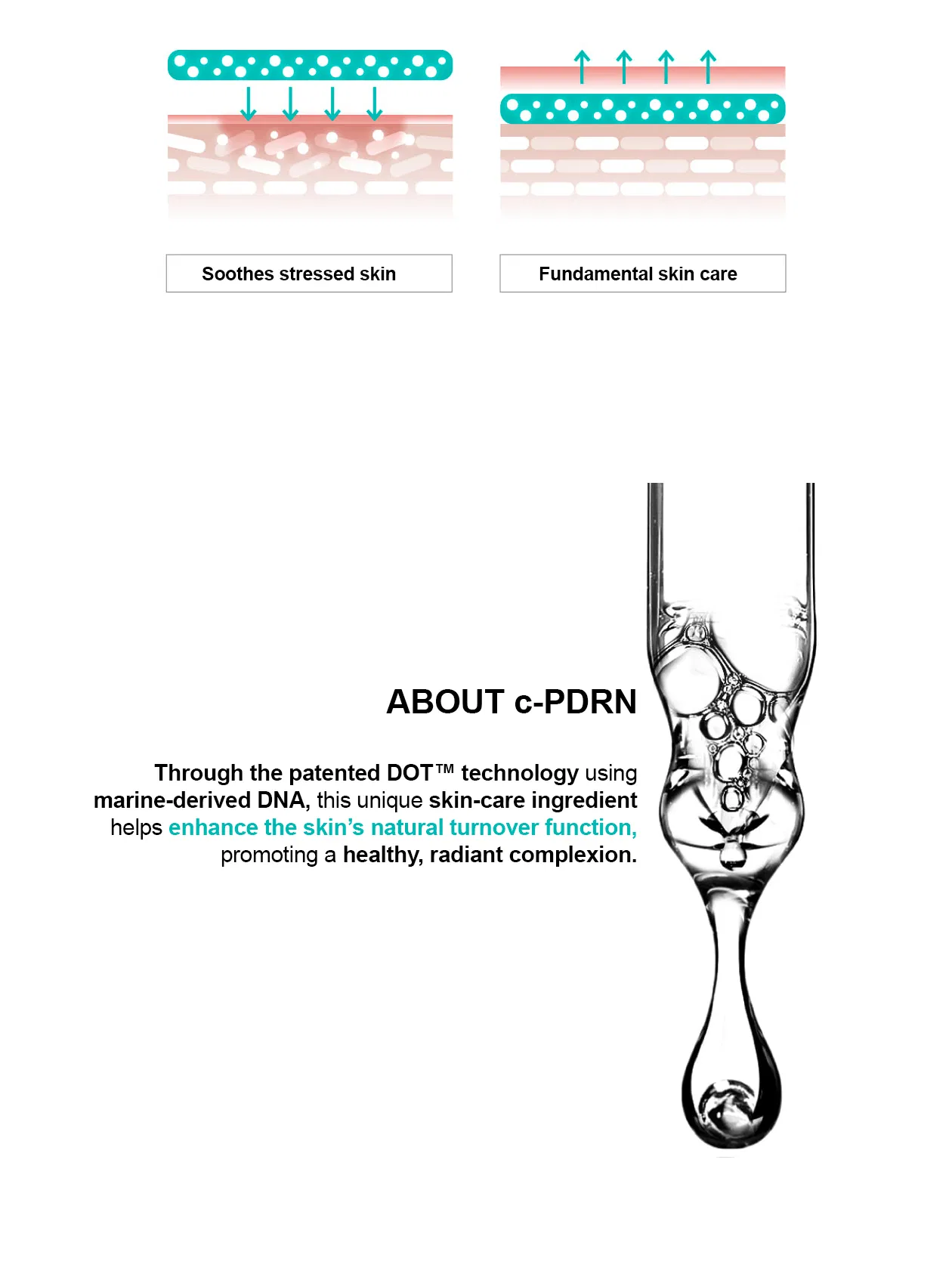 Rejuran Rebalancing Toner · product information
