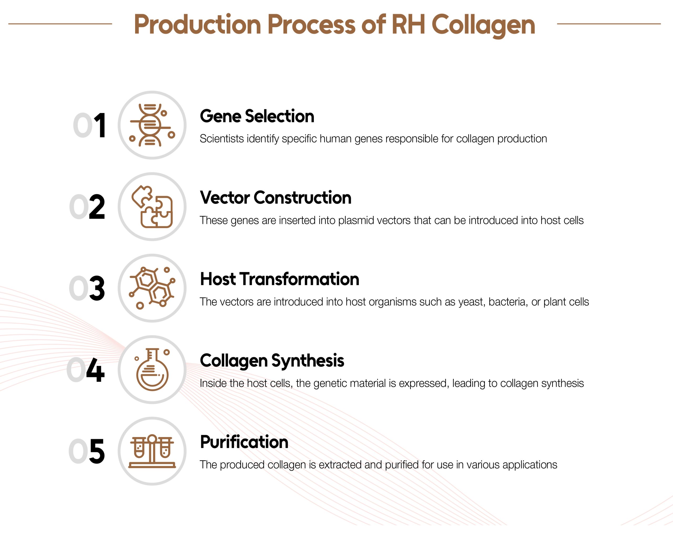 Lapiena RH-X Collagen product information